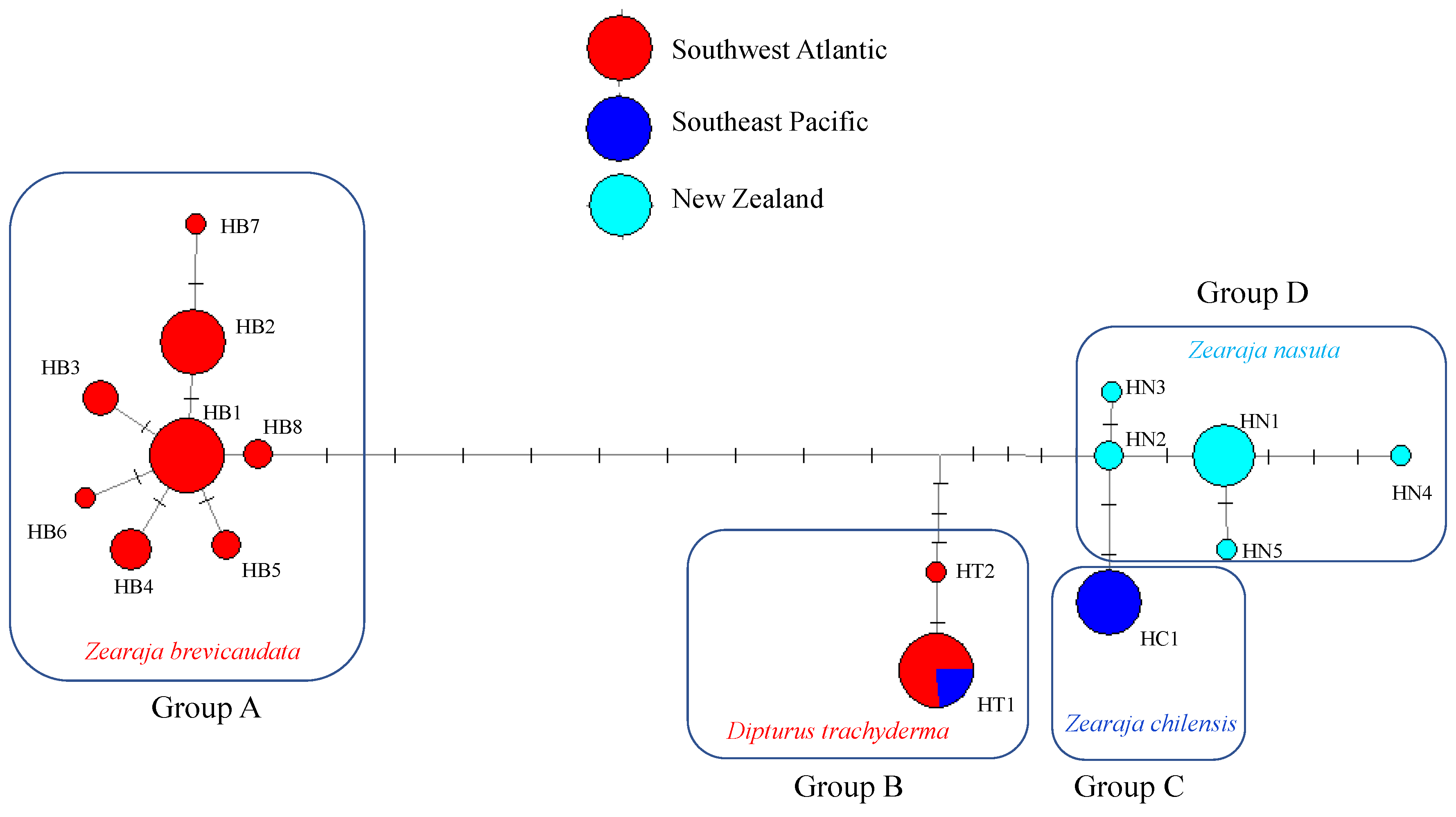 Diversity 16 00146 g006