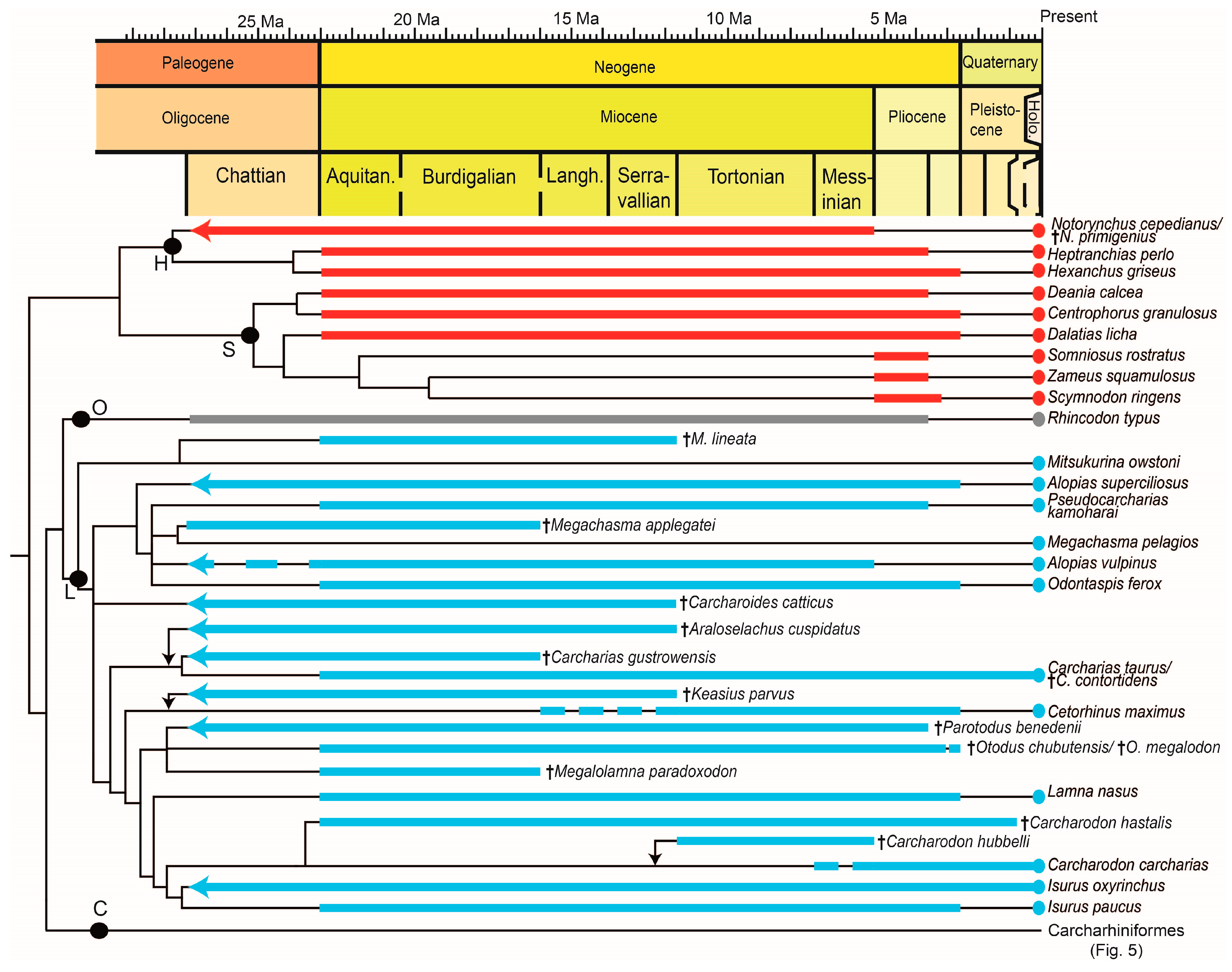 Diversity 16 00147 g004 Diversity 16 00147 g004