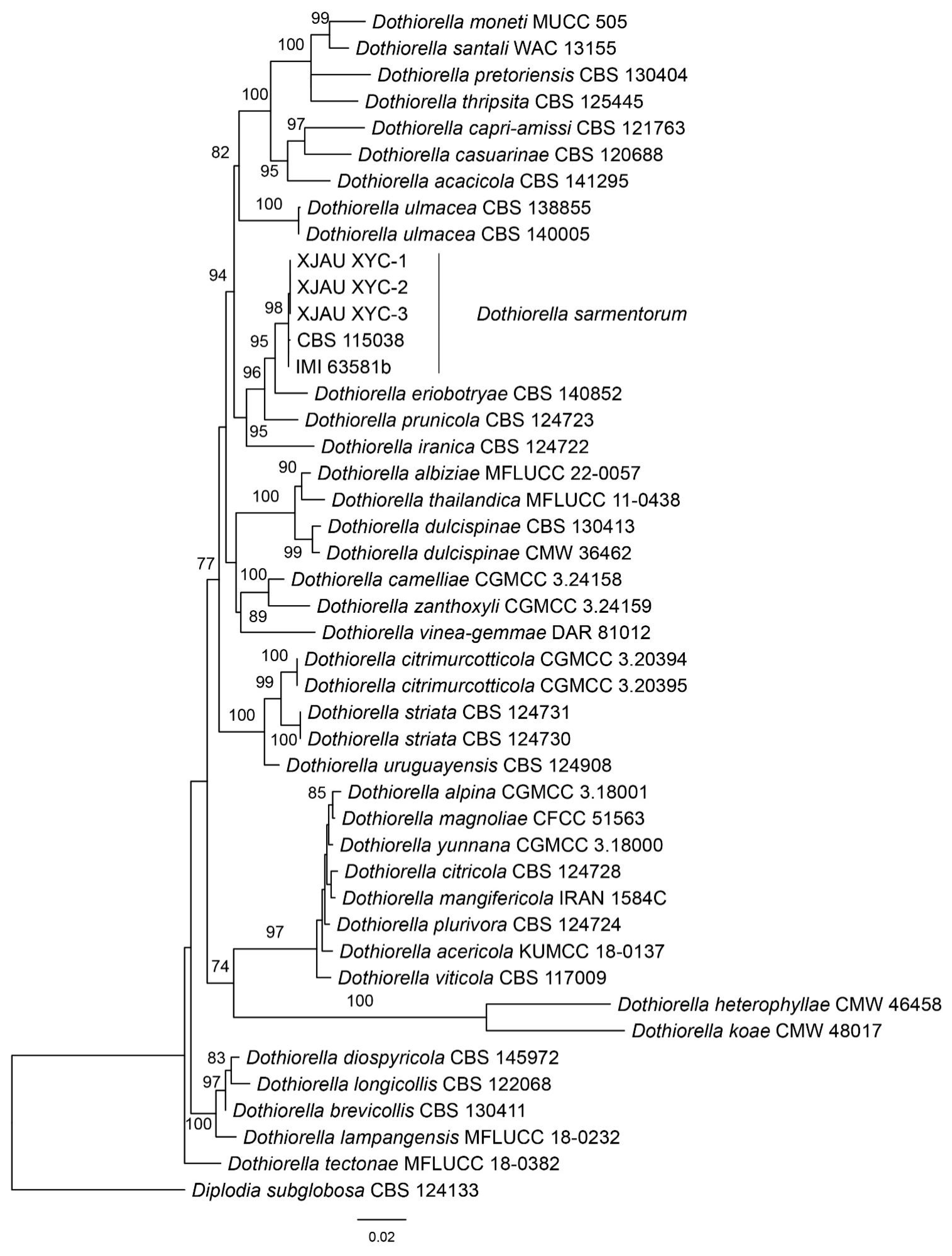 Diversity 16 00148 g001