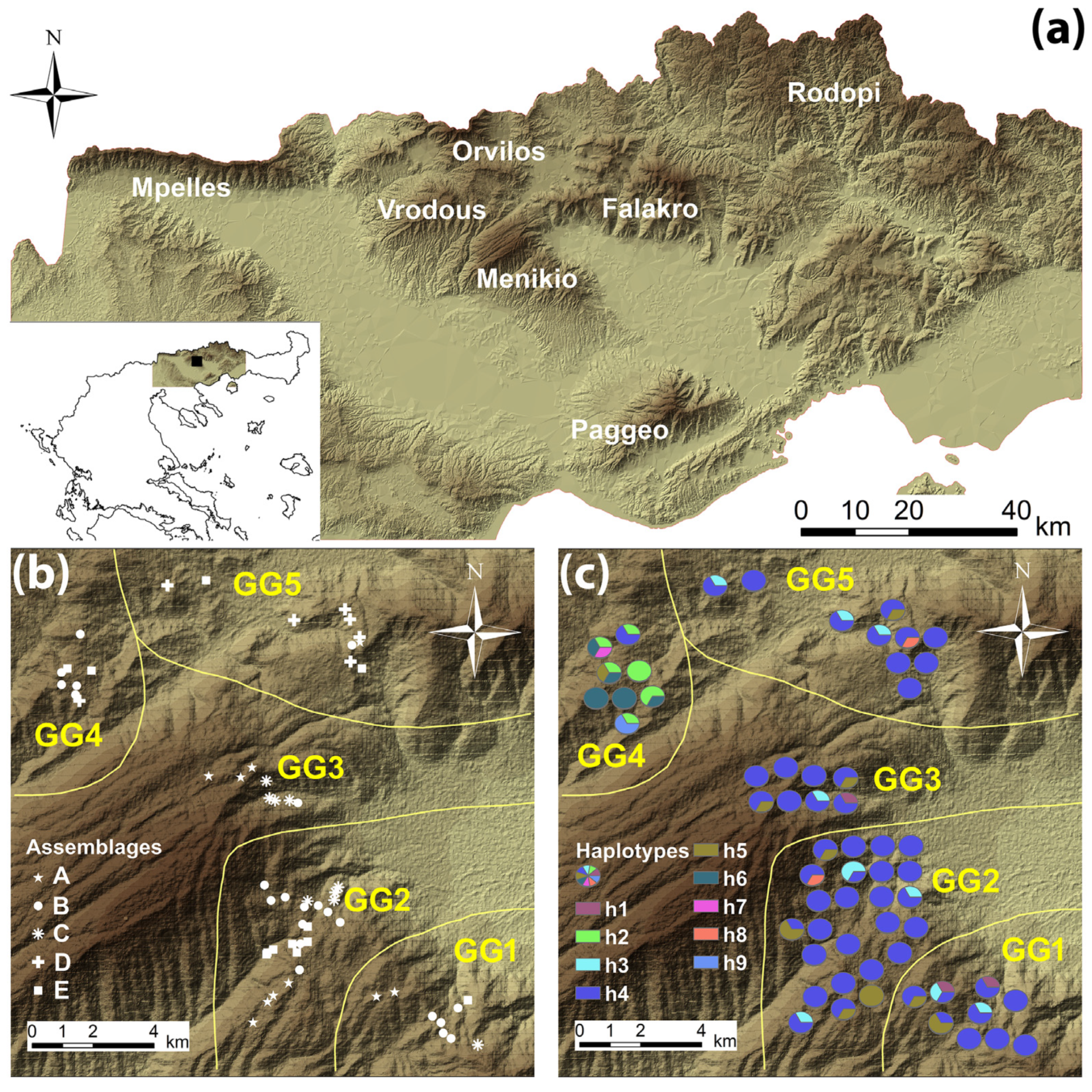 Diversity 16 00152 g001 Diversity 16 00152 g001