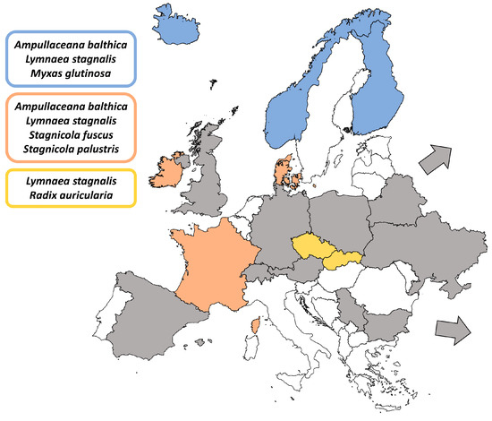 Molecular Diversity of the Genus Plagiorchis Lühe, 1899 in