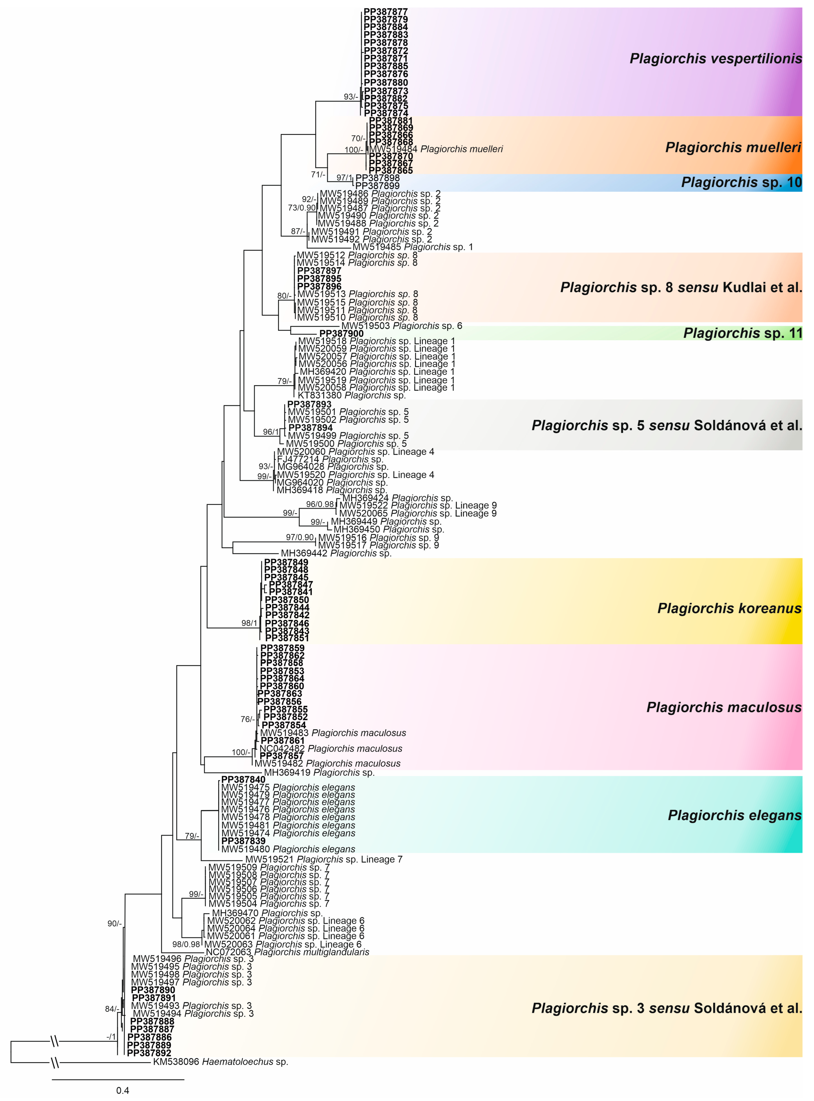 Diversity 16 00158 g003 Diversity 16 00158 g003