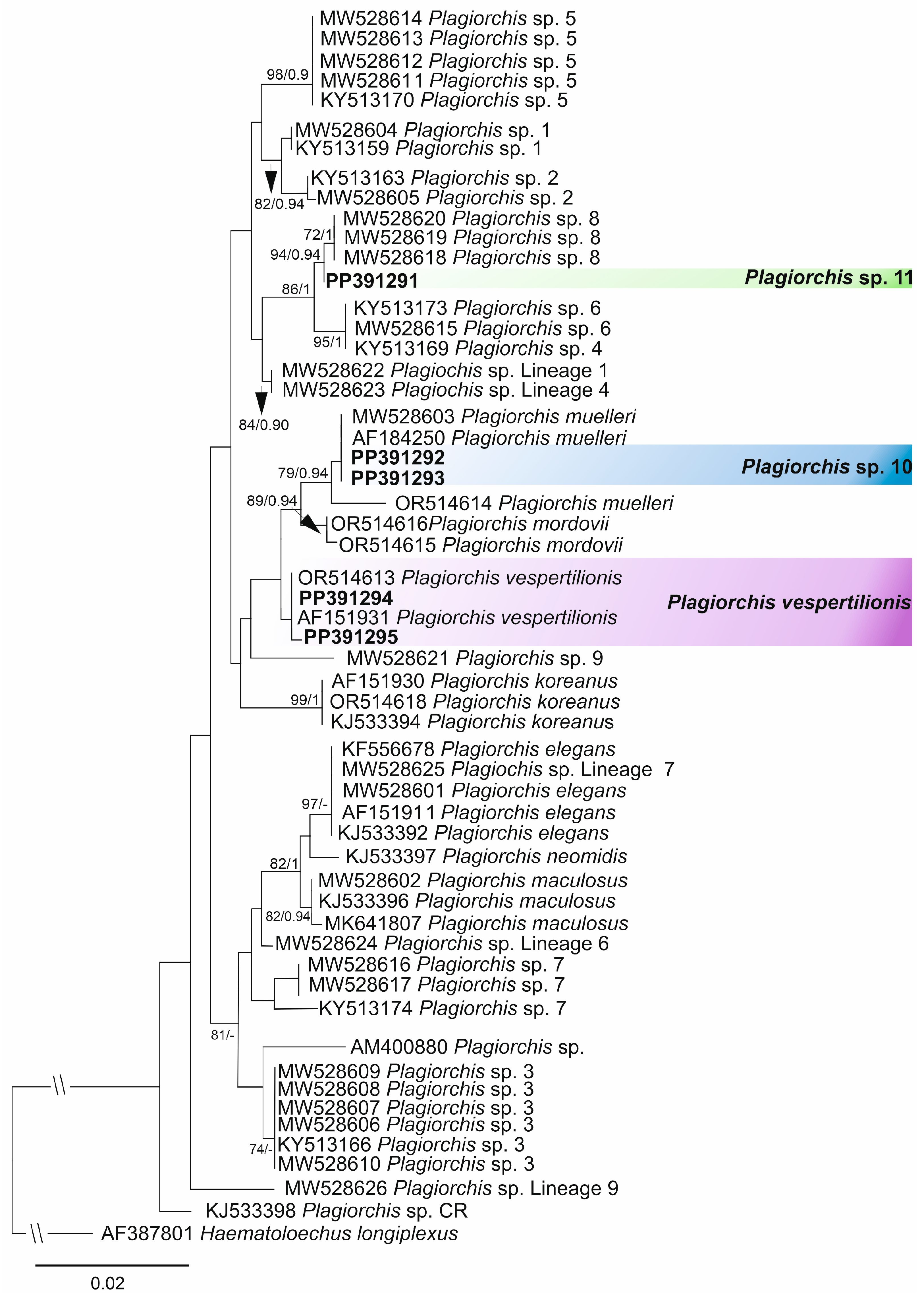 Diversity 16 00158 g004 Diversity 16 00158 g004