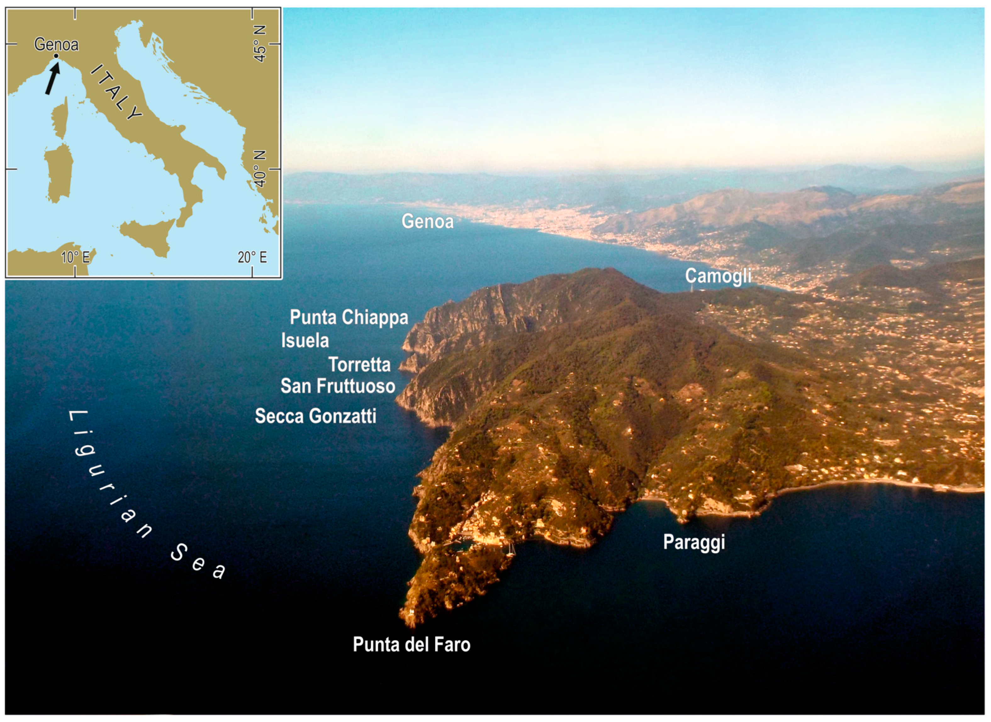 Diversity 16 00159 g001 Diversity 16 00159 g001