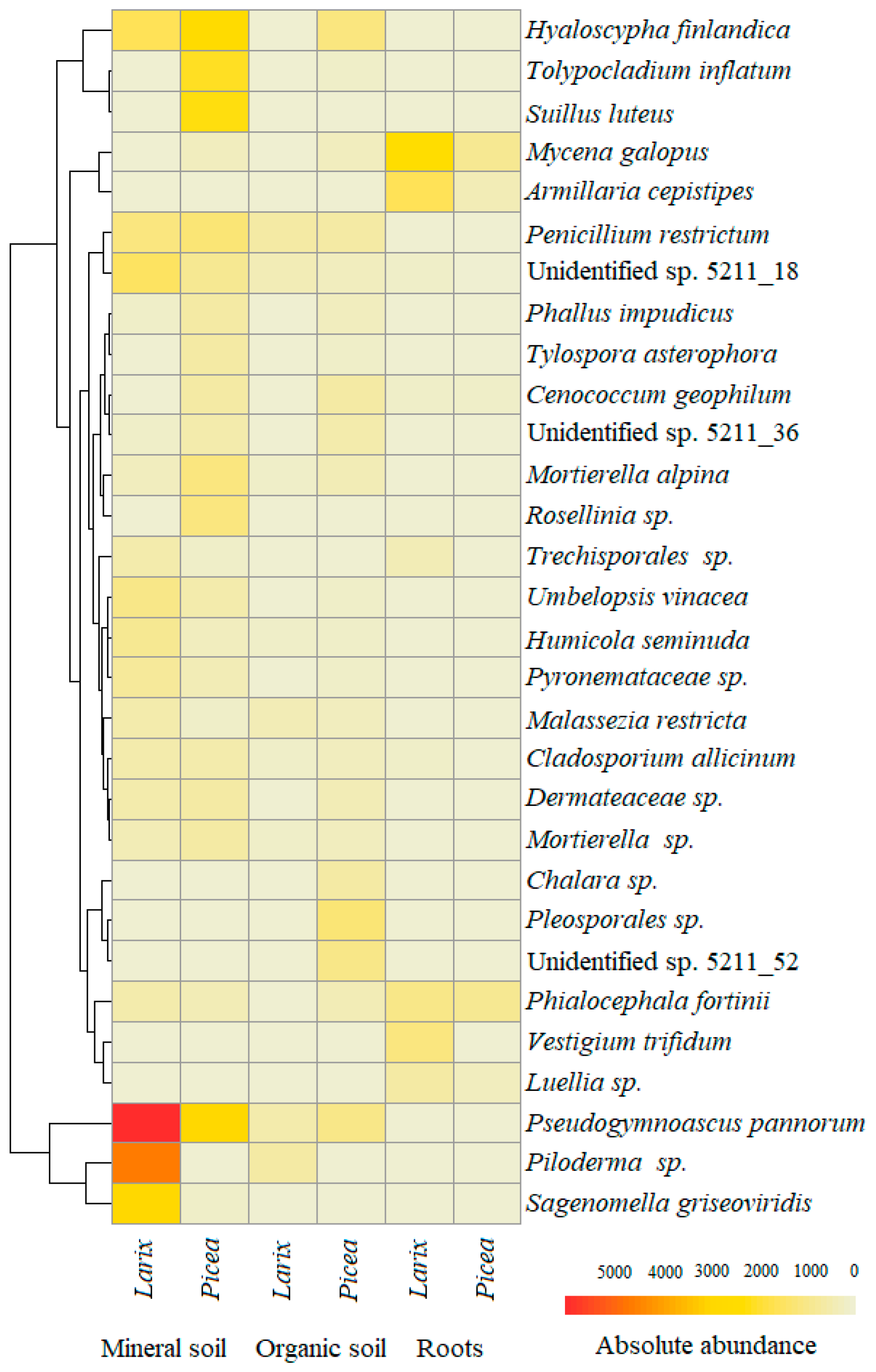 Diversity 16 00160 g004