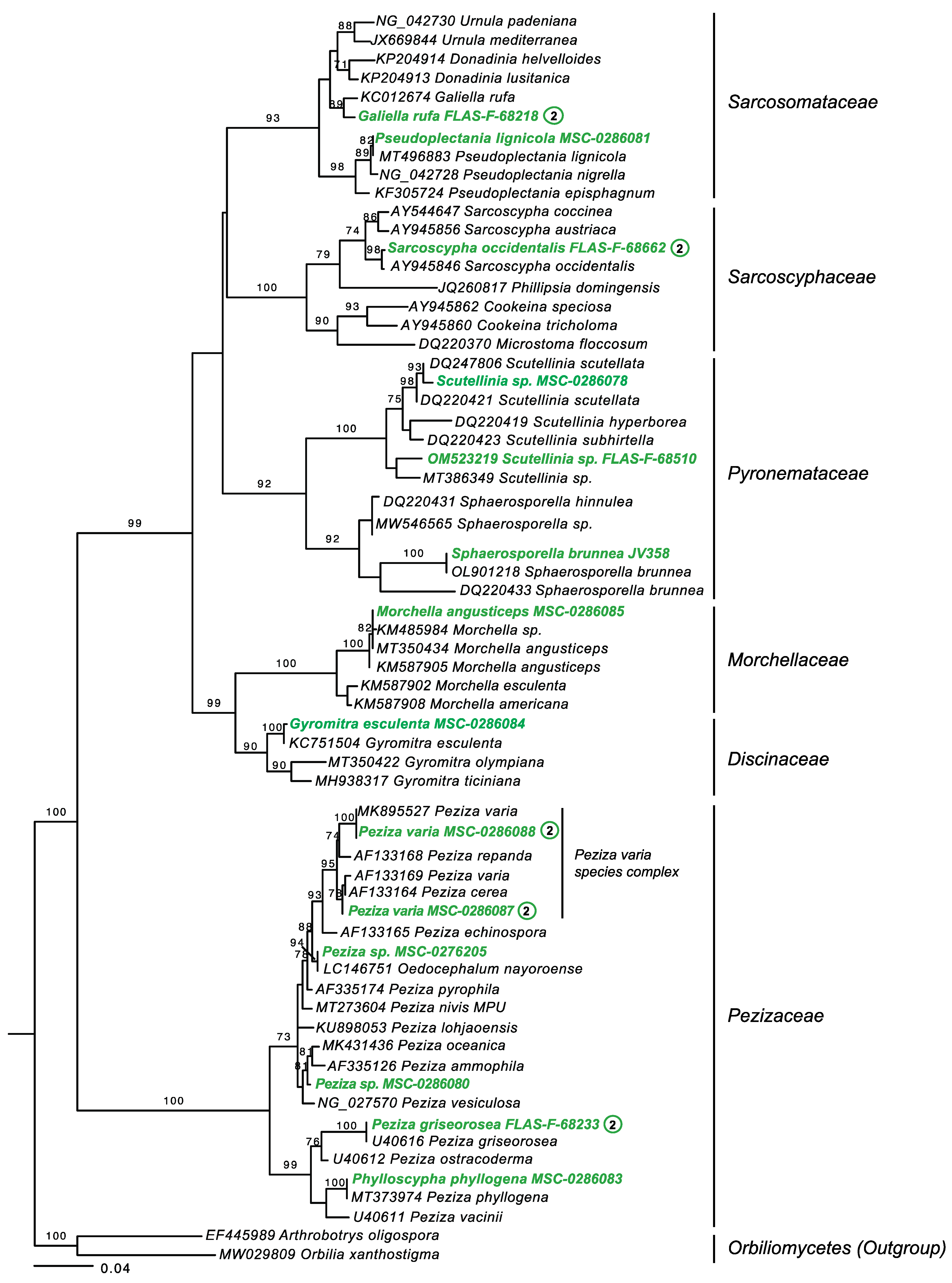 Diversity 16 00165 g002