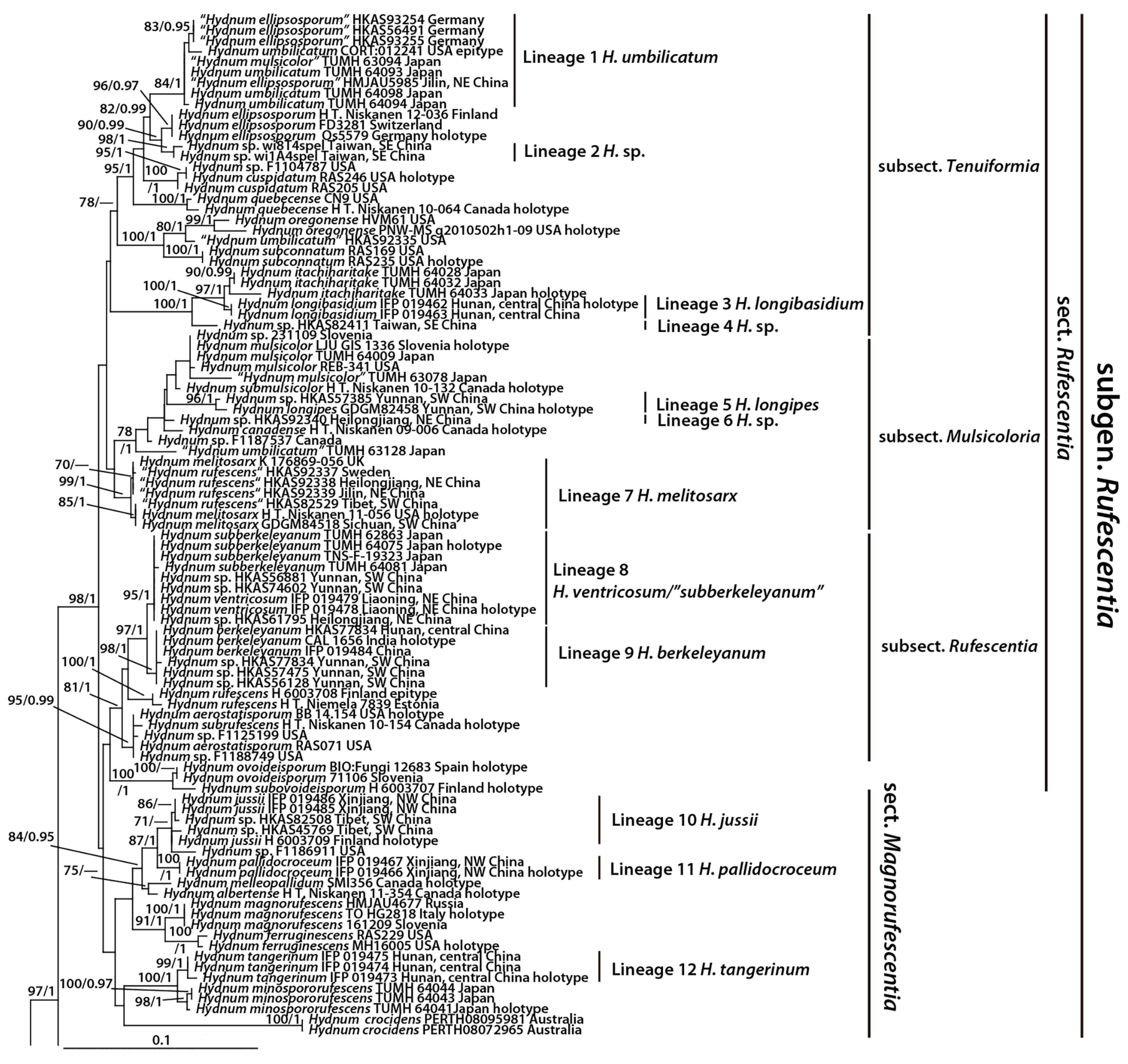 Diversity 16 00166 g001a