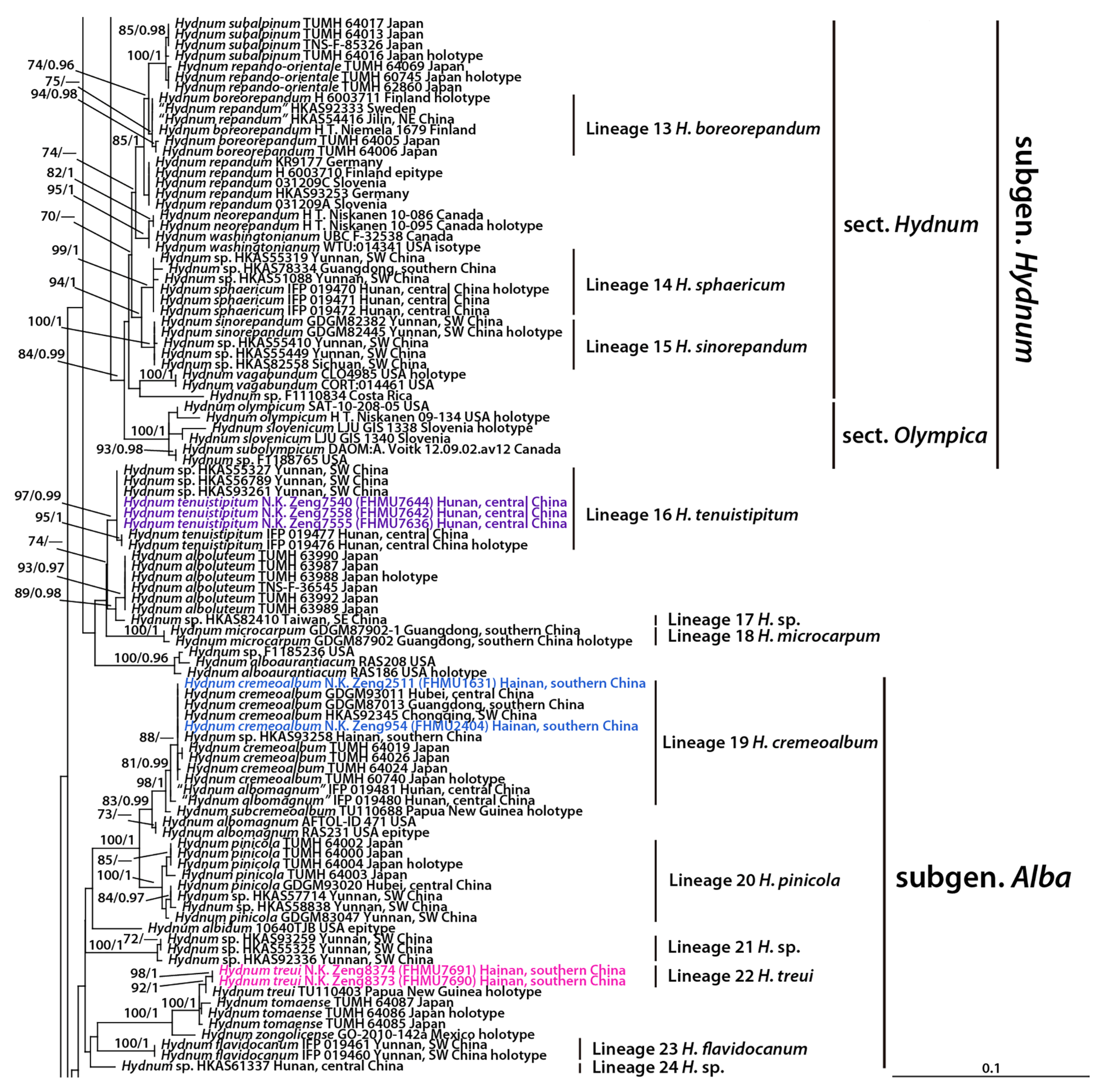 Diversity 16 00166 g001b