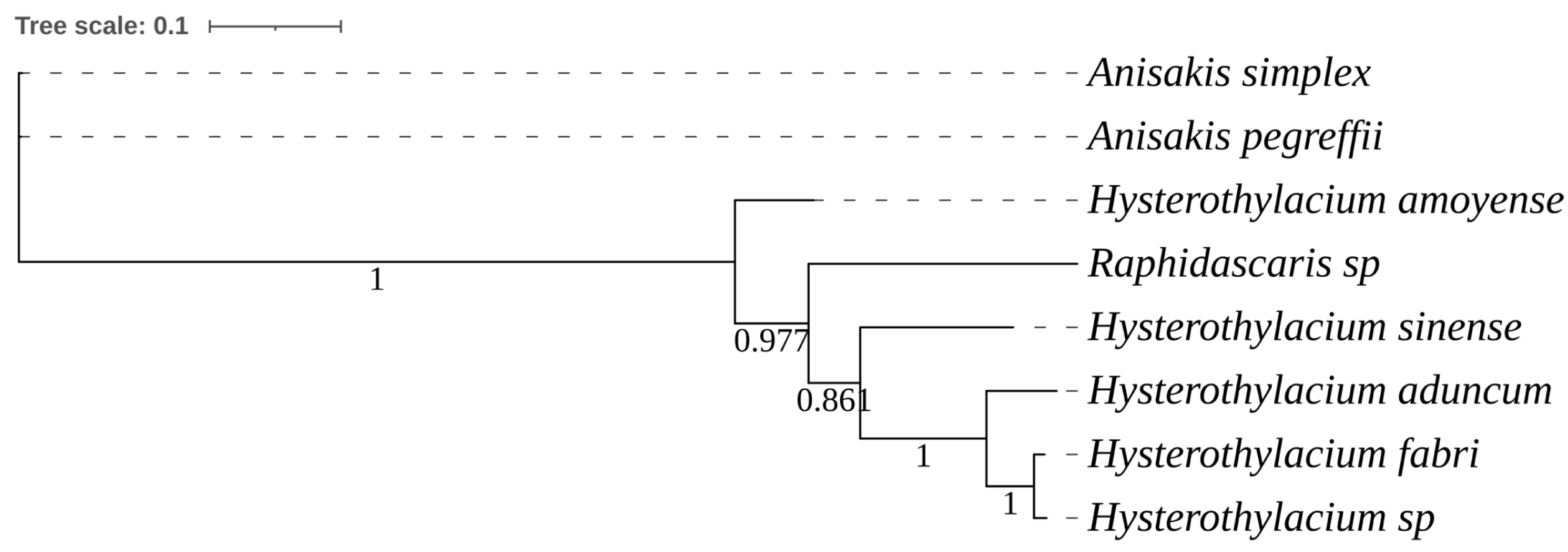 Diversity 16 00167 g009 Diversity 16 00167 g009