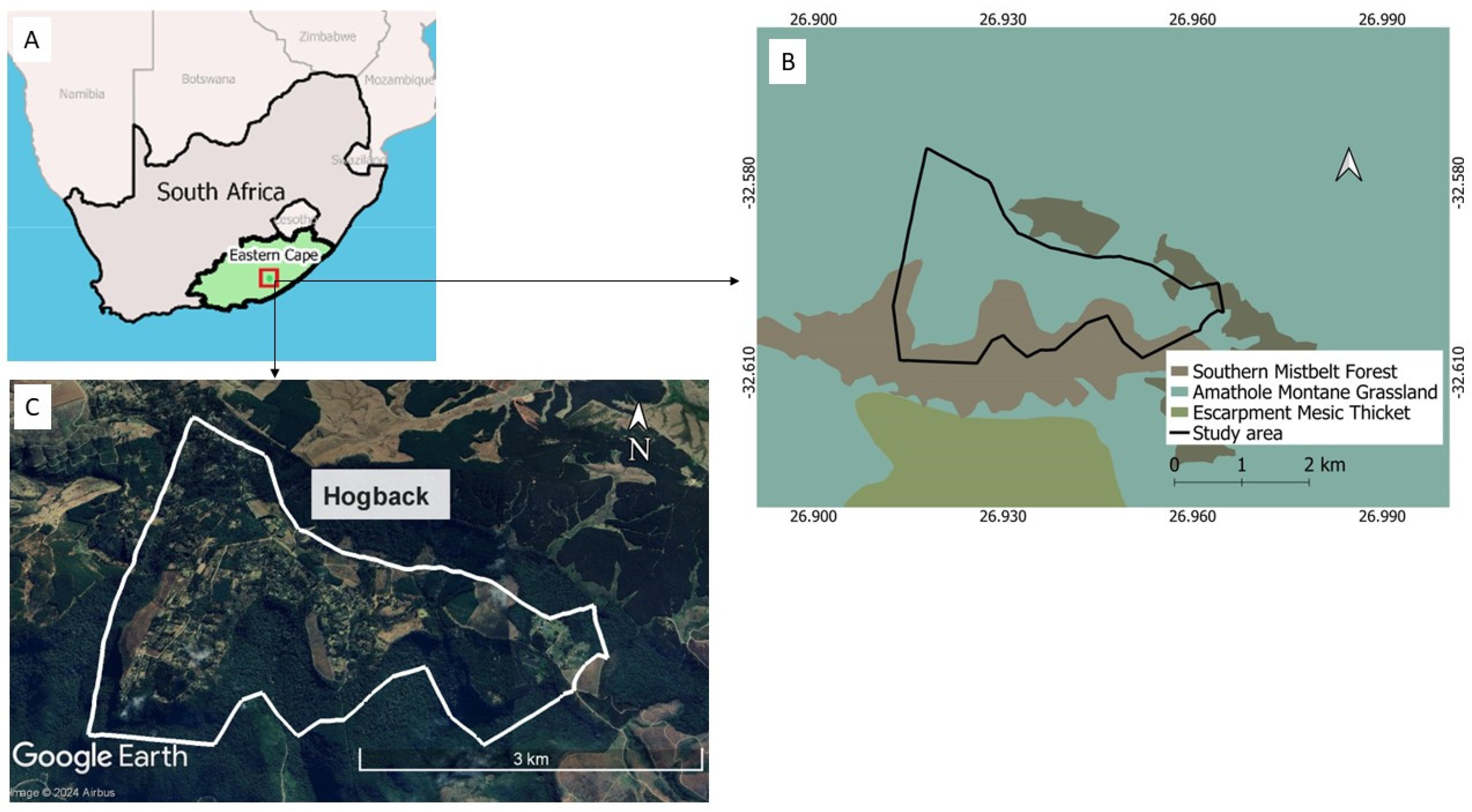 Diversity 16 00168 g001