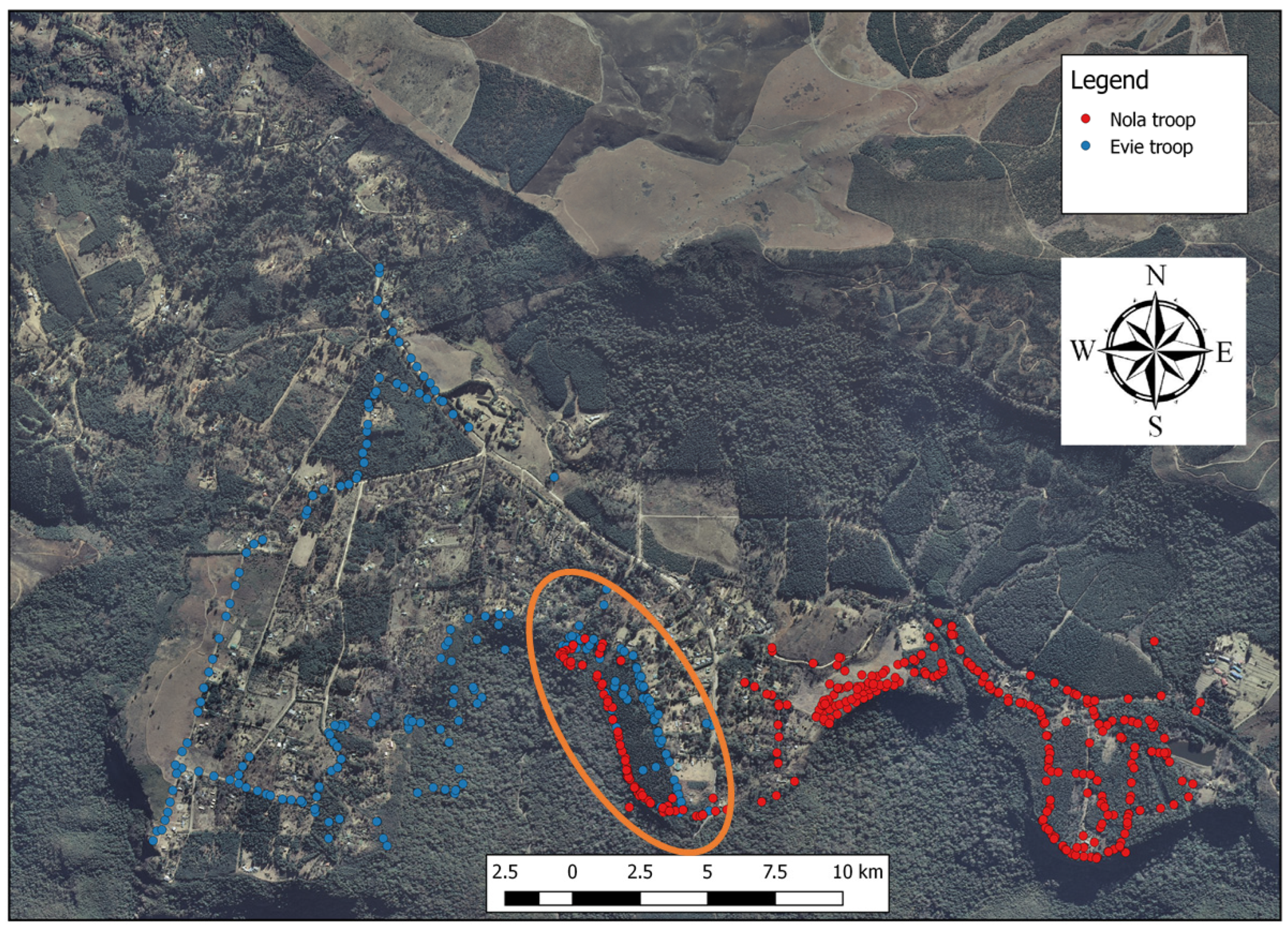 Diversity 16 00168 g003