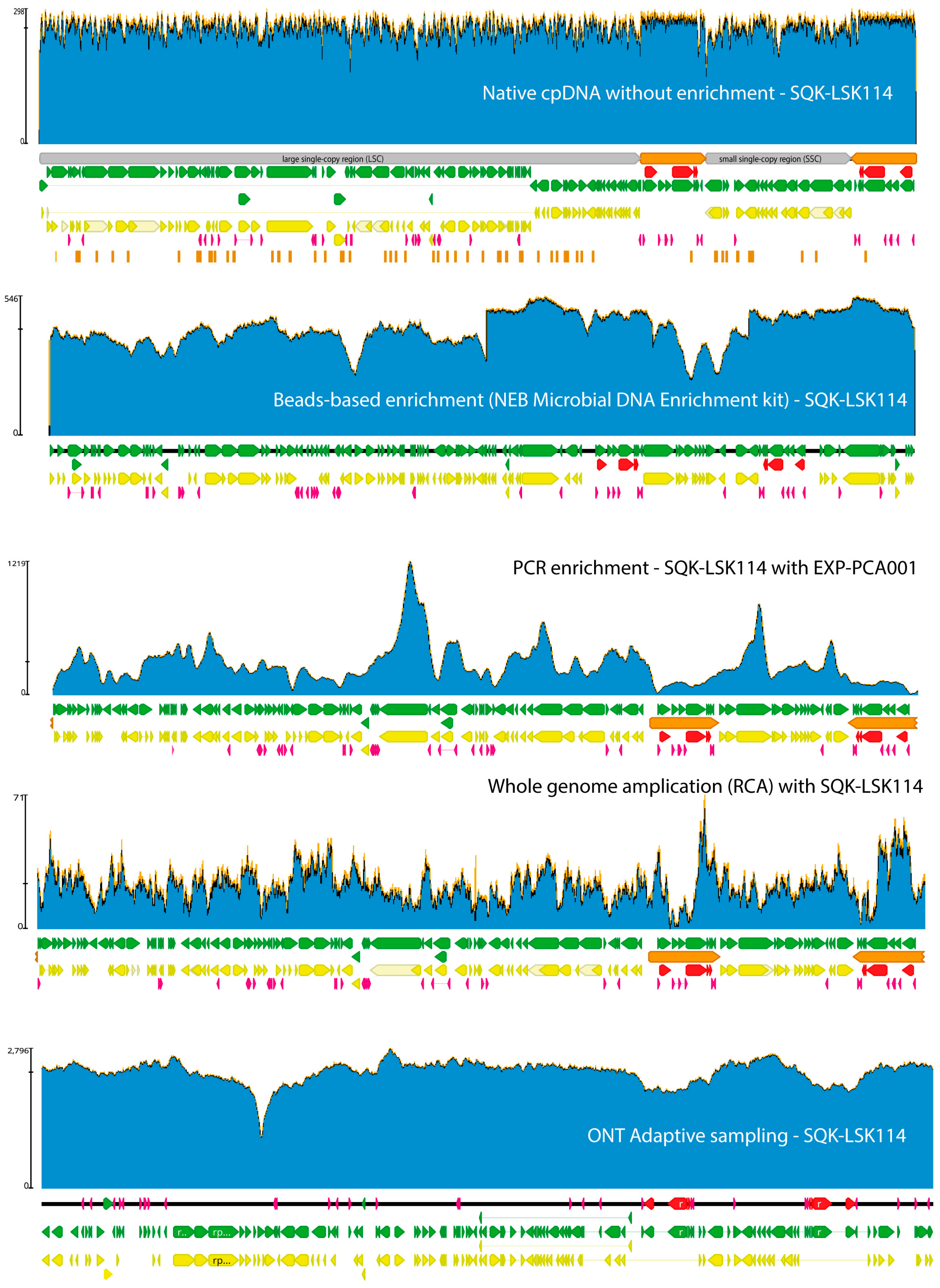 Diversity 16 00173 g003