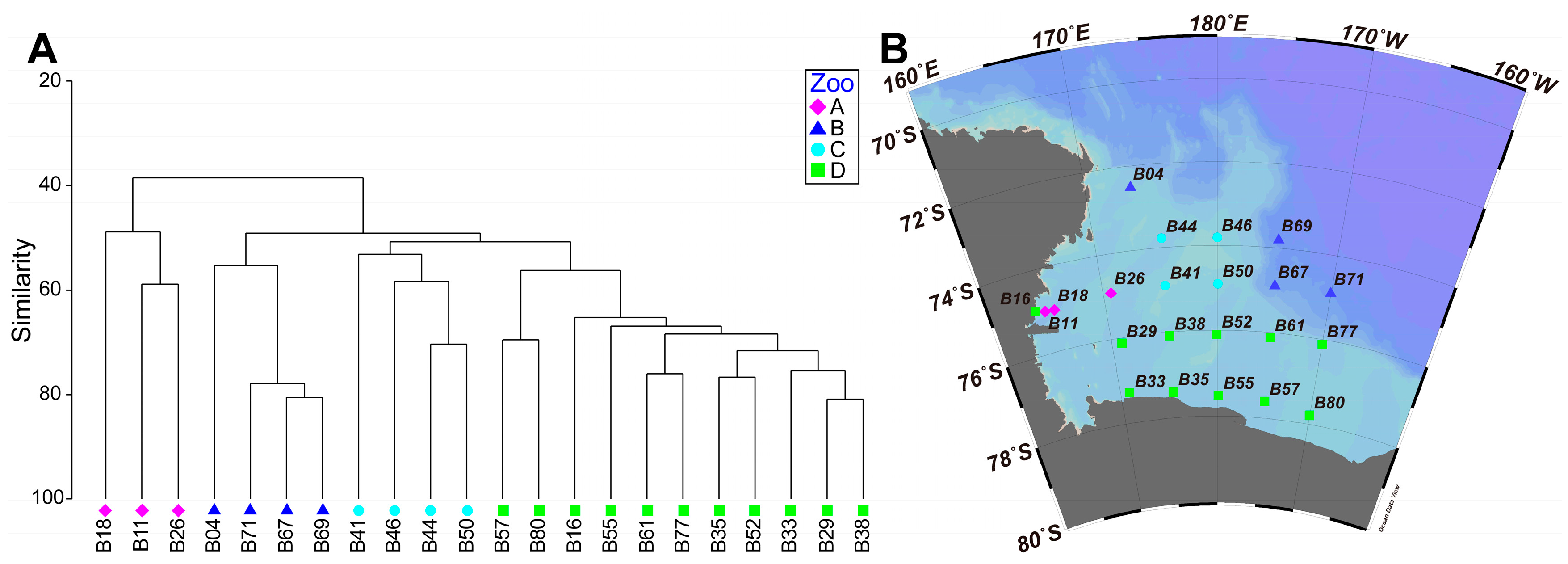 Diversity 16 00174 g005