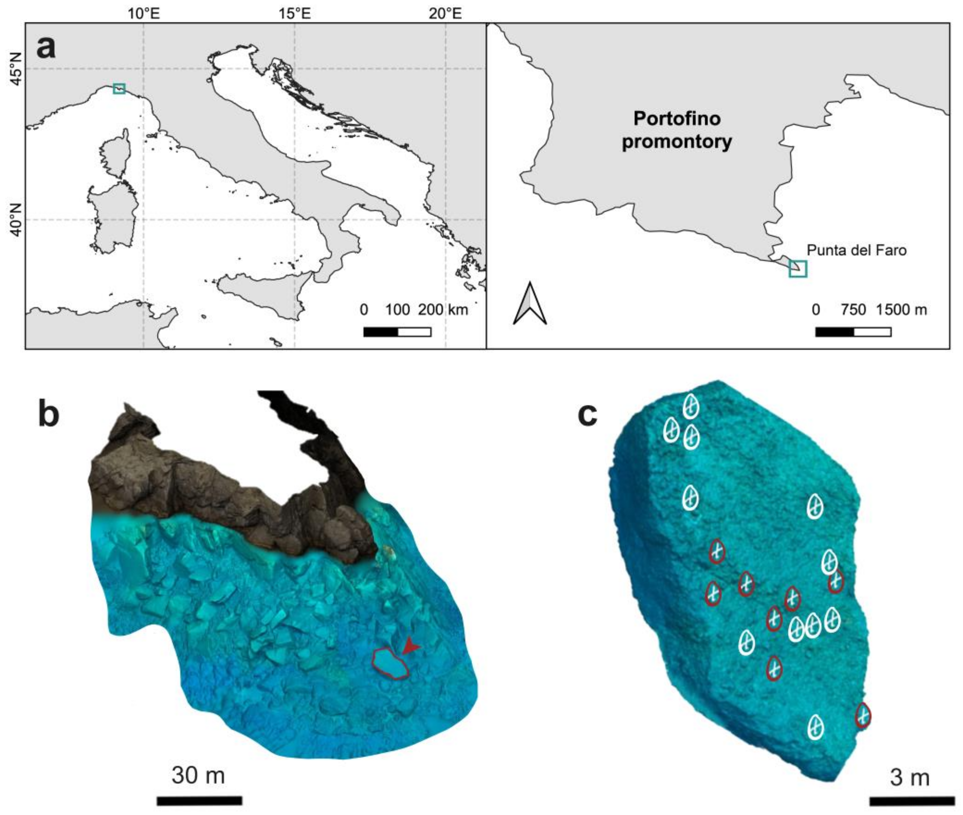 Diversity 16 00175 g001 Diversity 16 00175 g001
