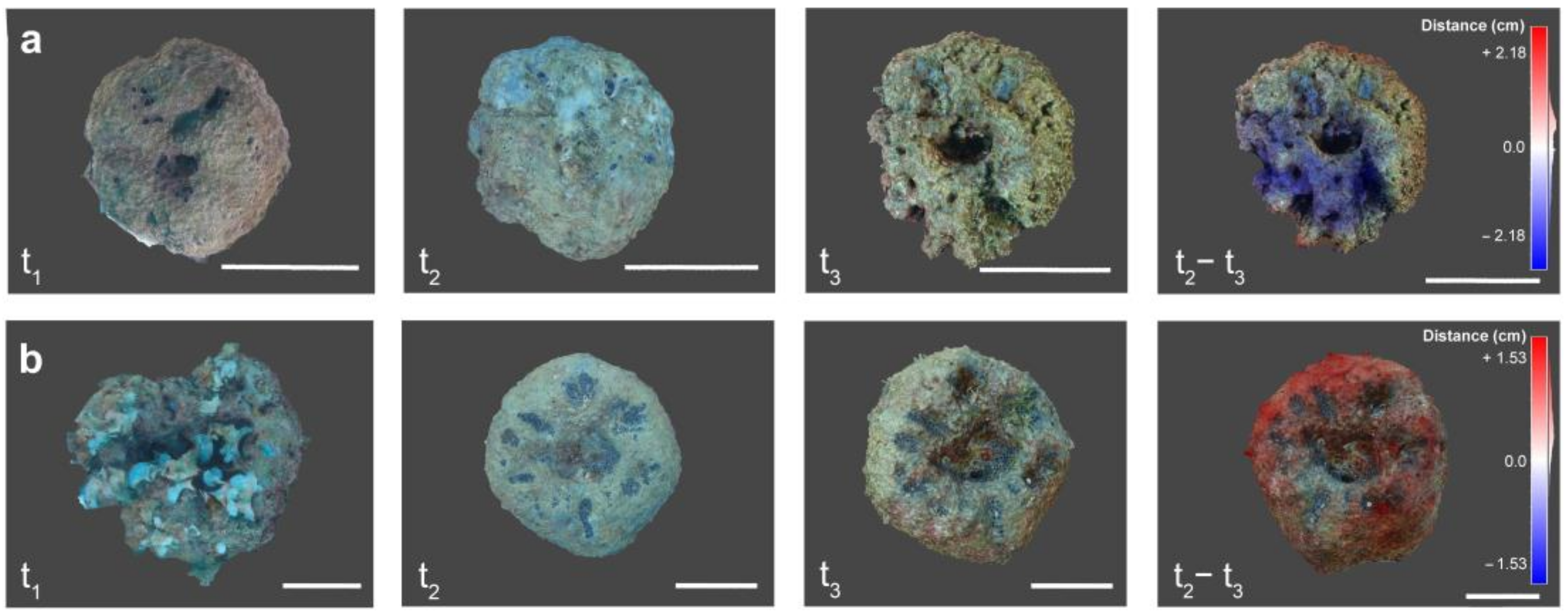 Diversity 16 00175 g004 Diversity 16 00175 g004