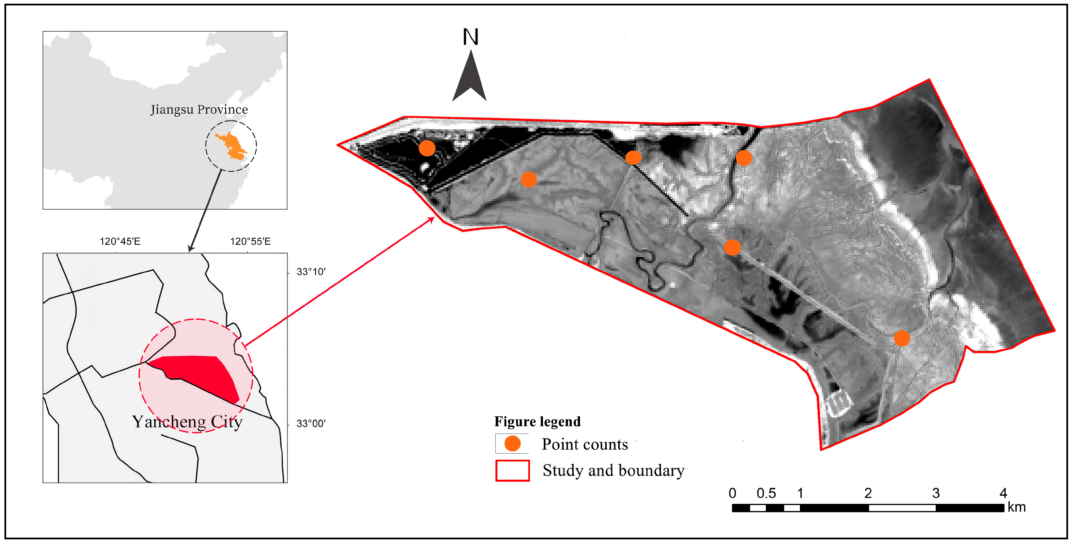 Diversity 16 00176 g001