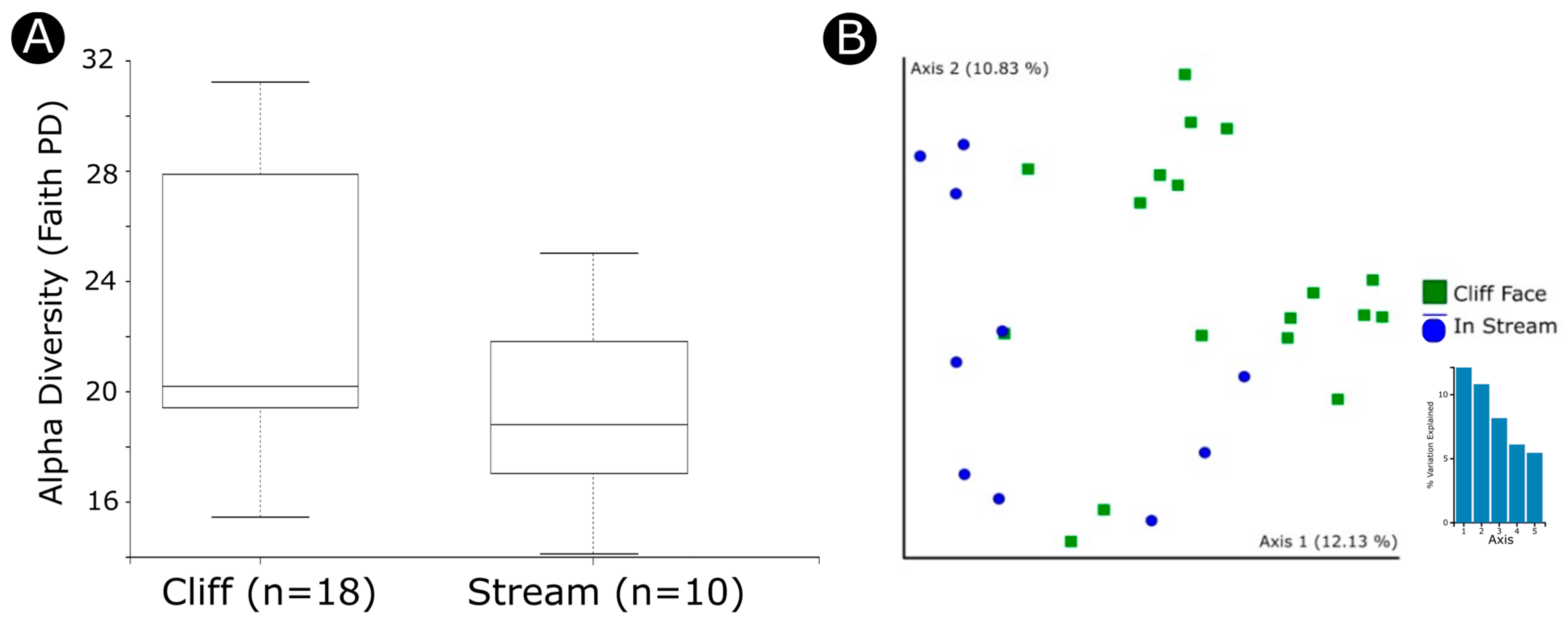 Diversity 16 00178 g006