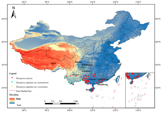 フィギュア いろいろ！！ A-14 Zeruel -XX Figure Deluxe Box Neon Genesis Evangelion