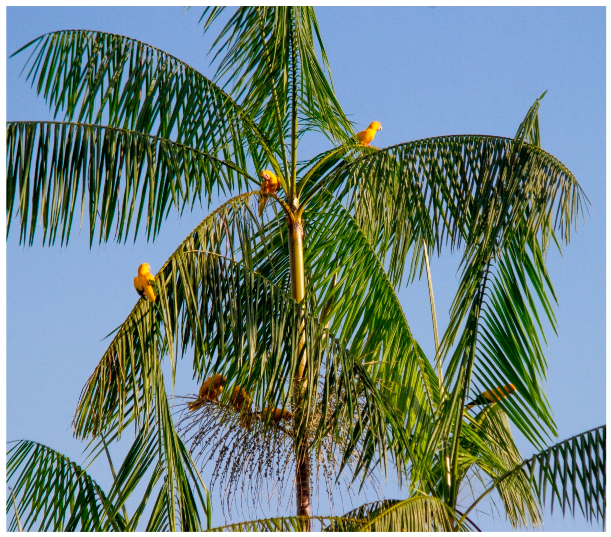 Diversity 16 00188 g002