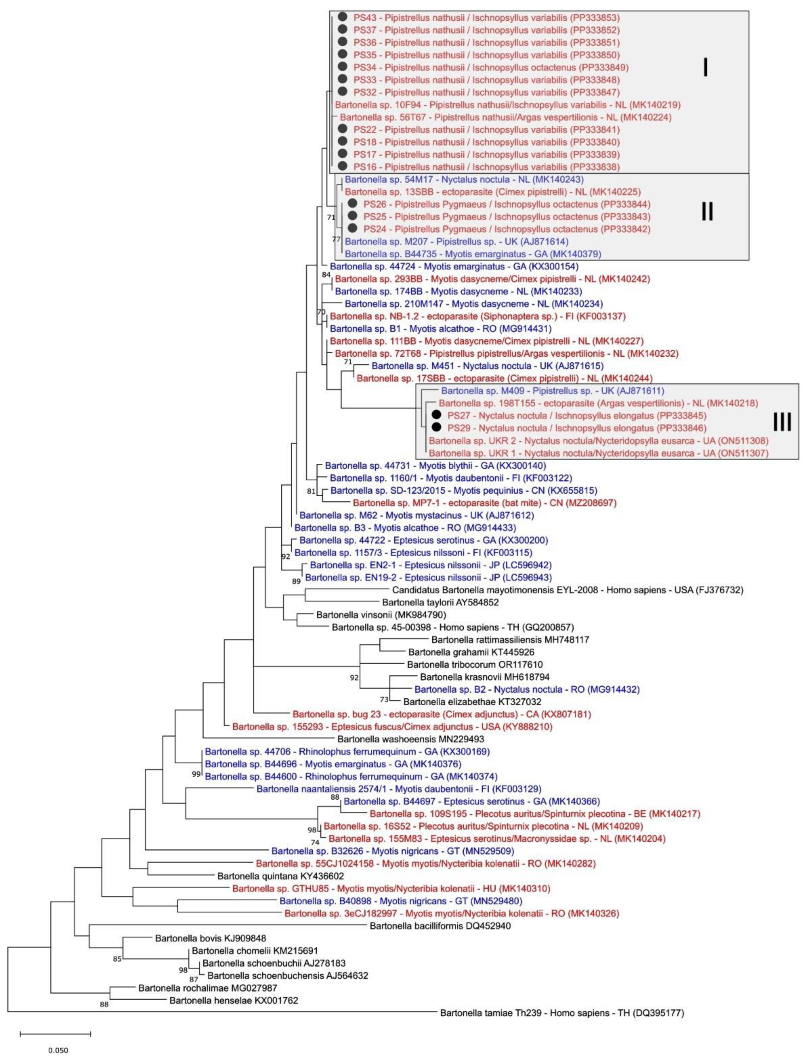 Diversity 16 00192 g003