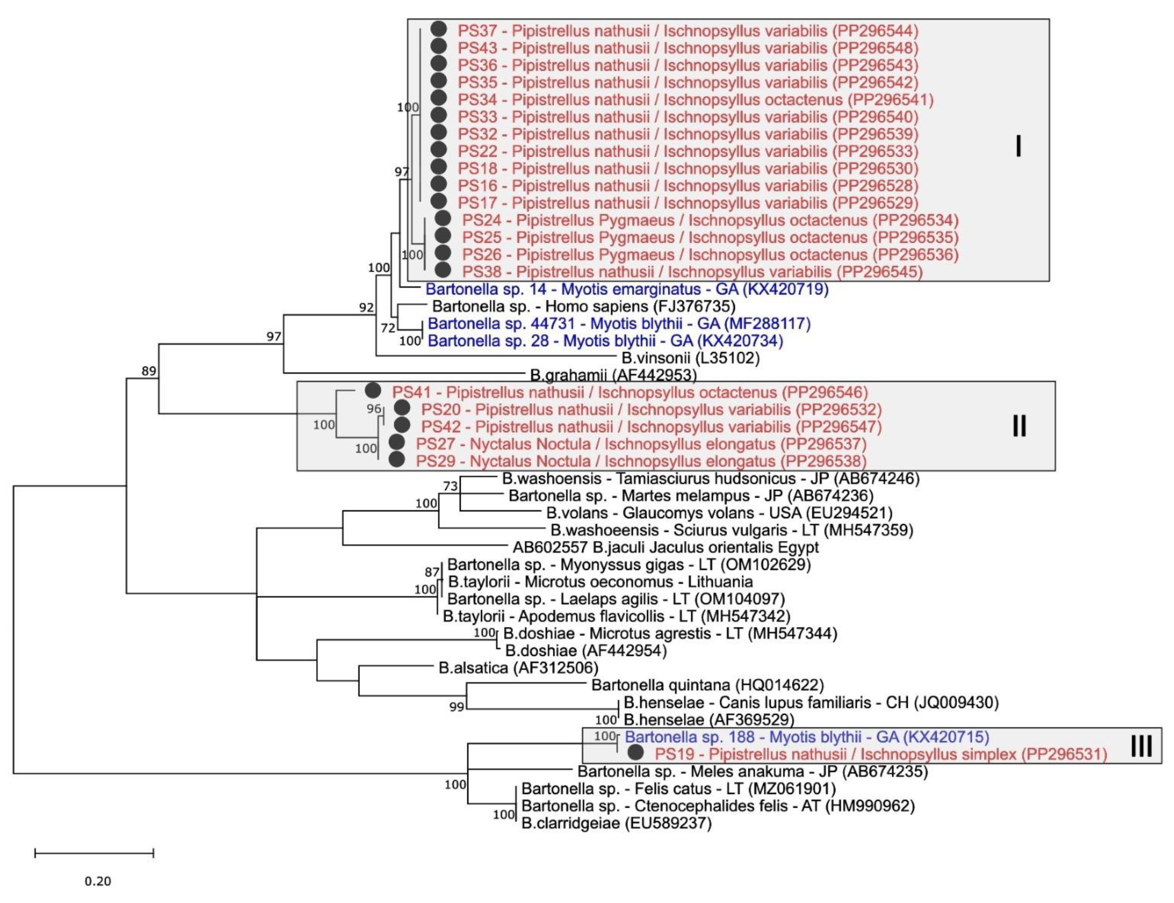 Diversity 16 00192 g006