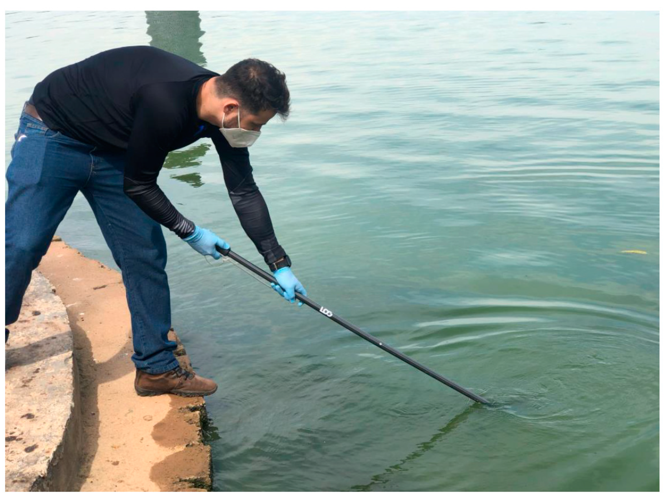 Diversity 16 00193 g001 Diversity 16 00193 g001