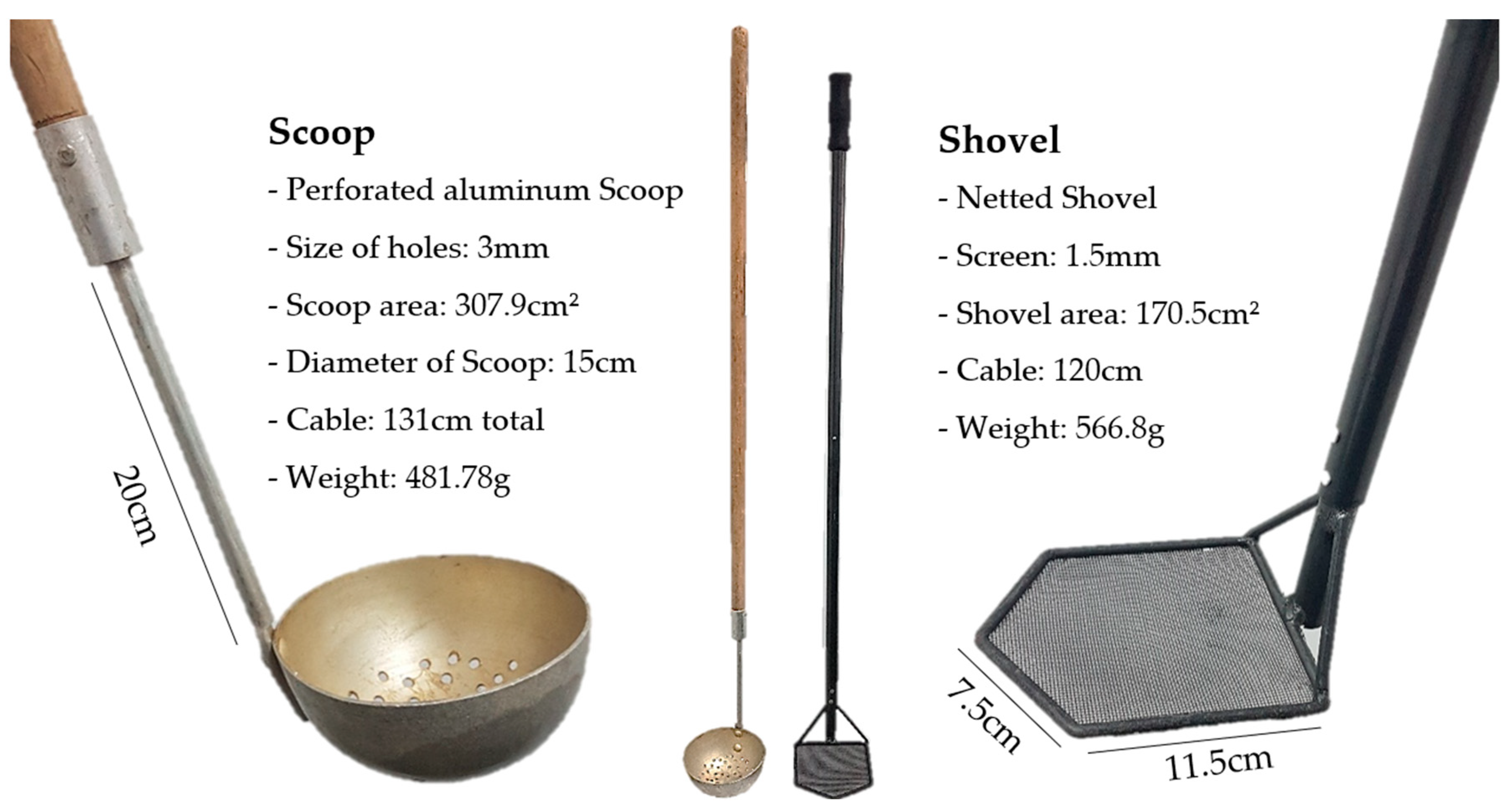 Diversity 16 00193 g003 Diversity 16 00193 g003