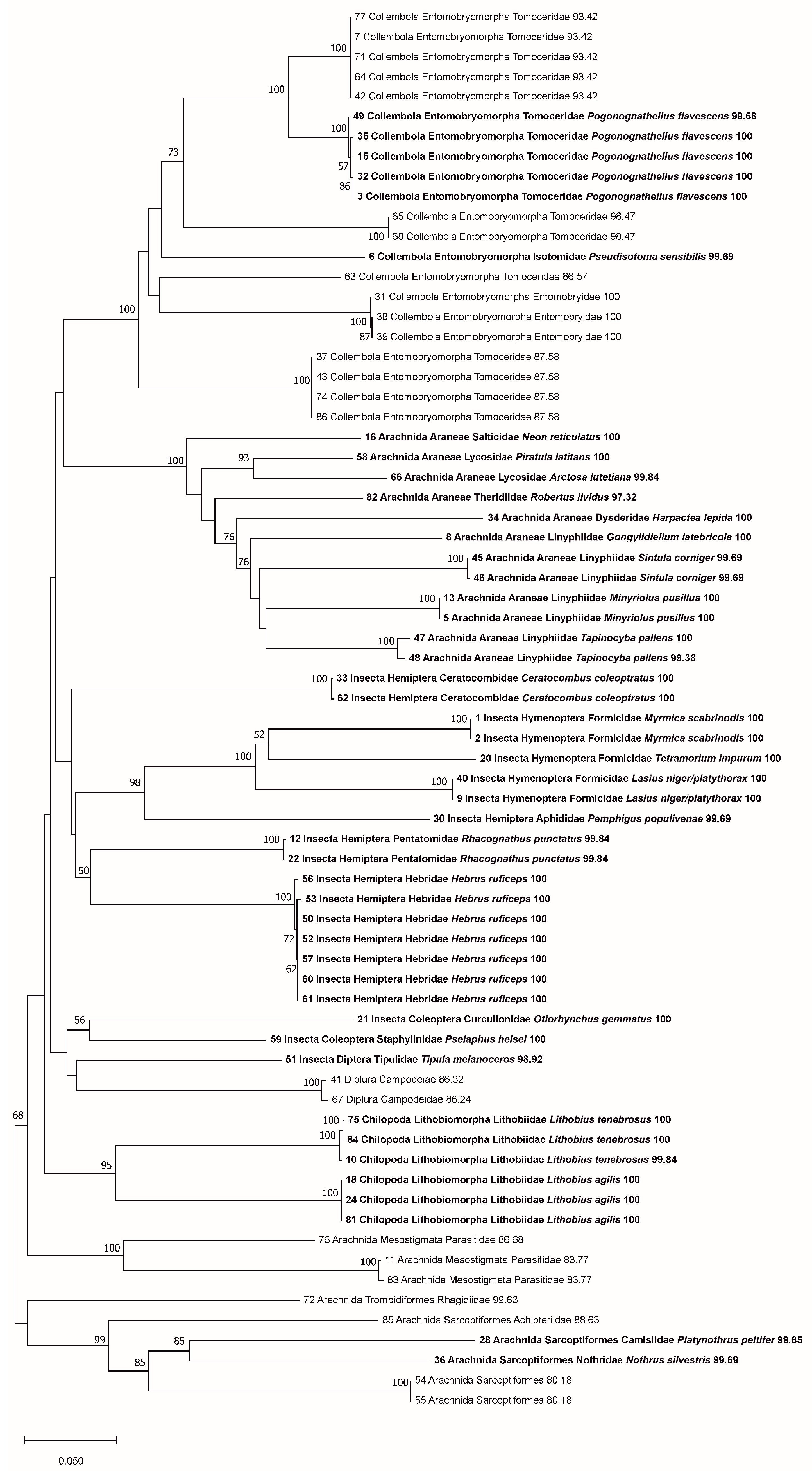 Diversity 16 00196 g002