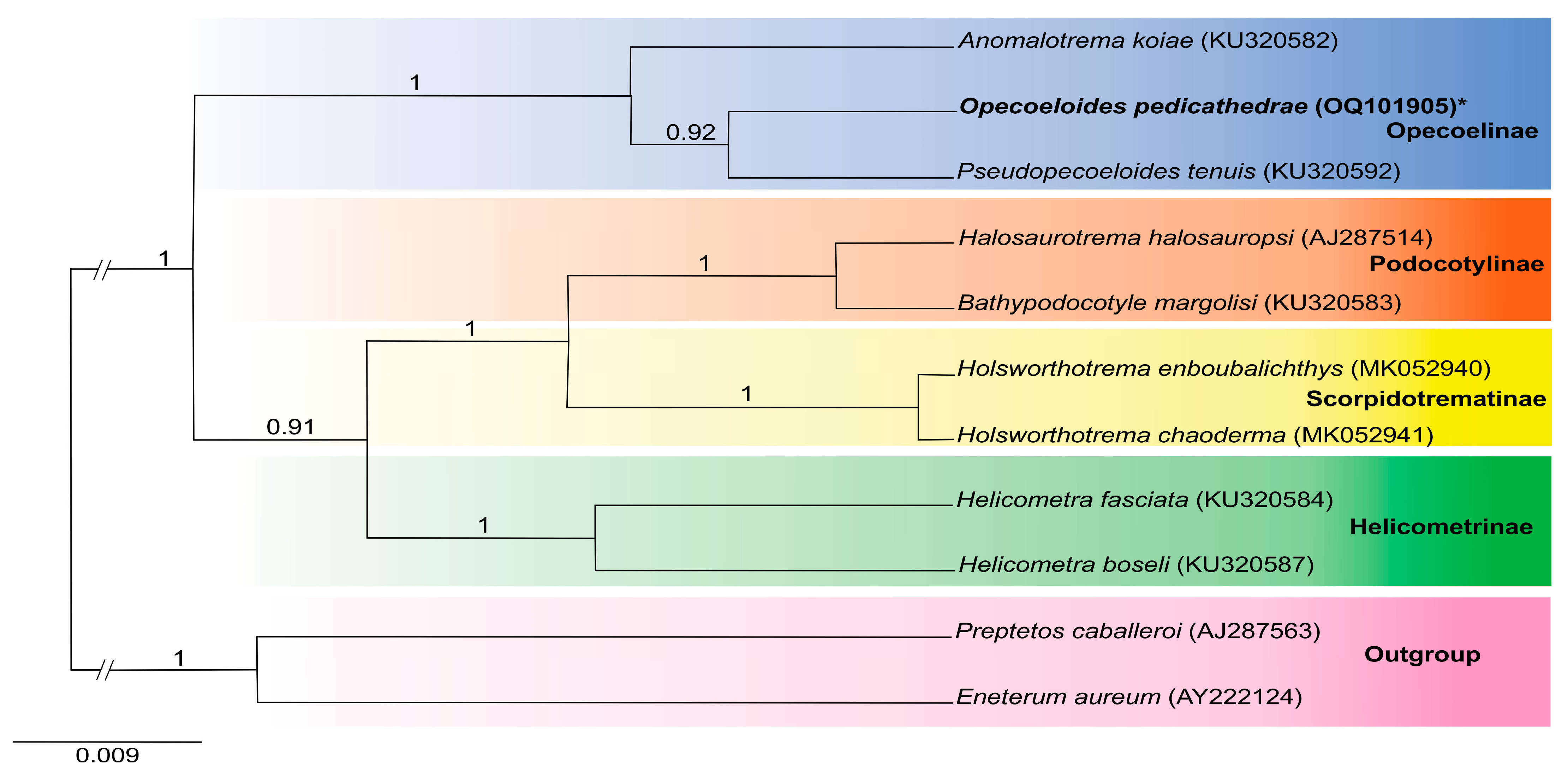 Diversity 16 00197 g004