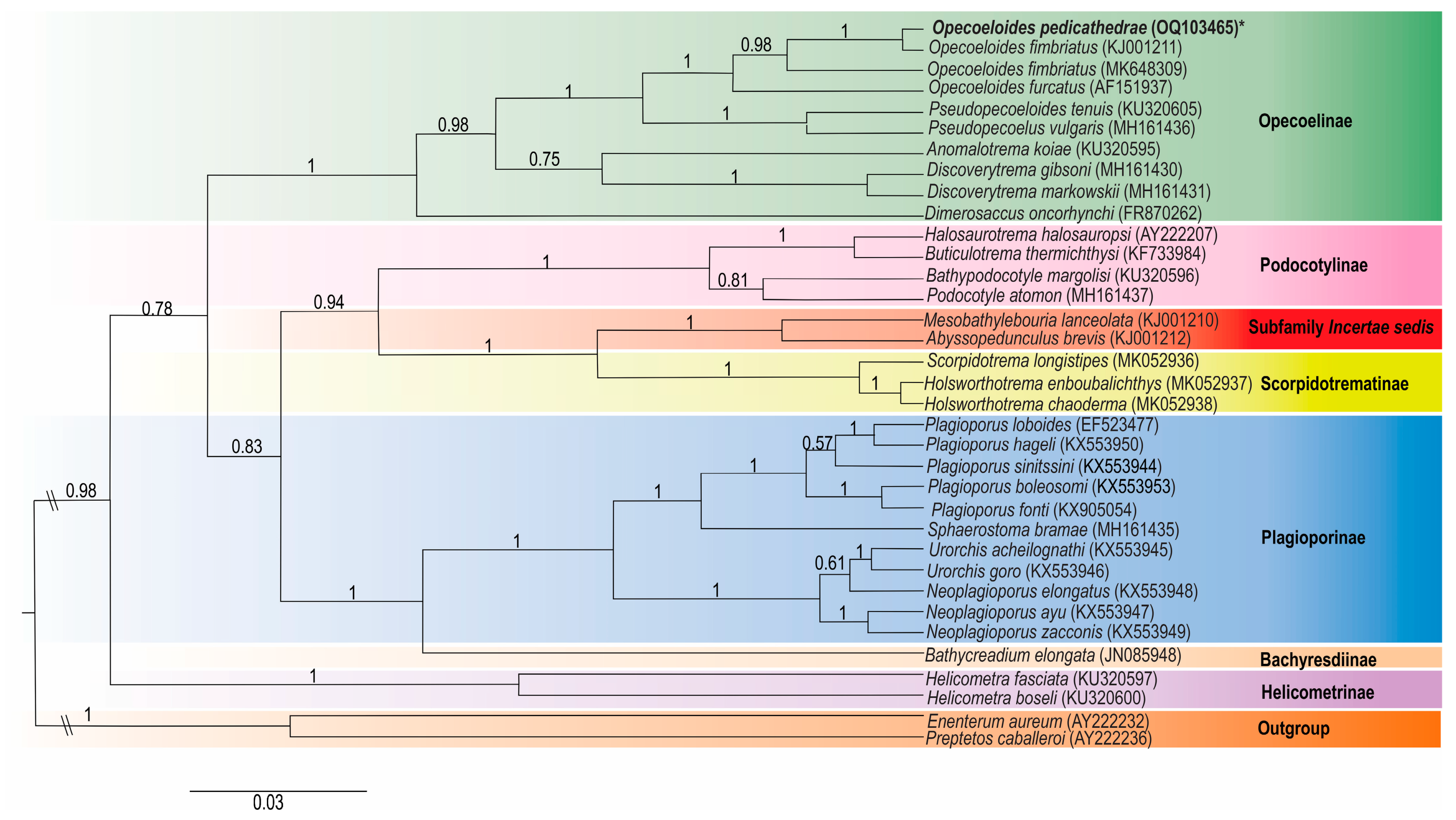 Diversity 16 00197 g005