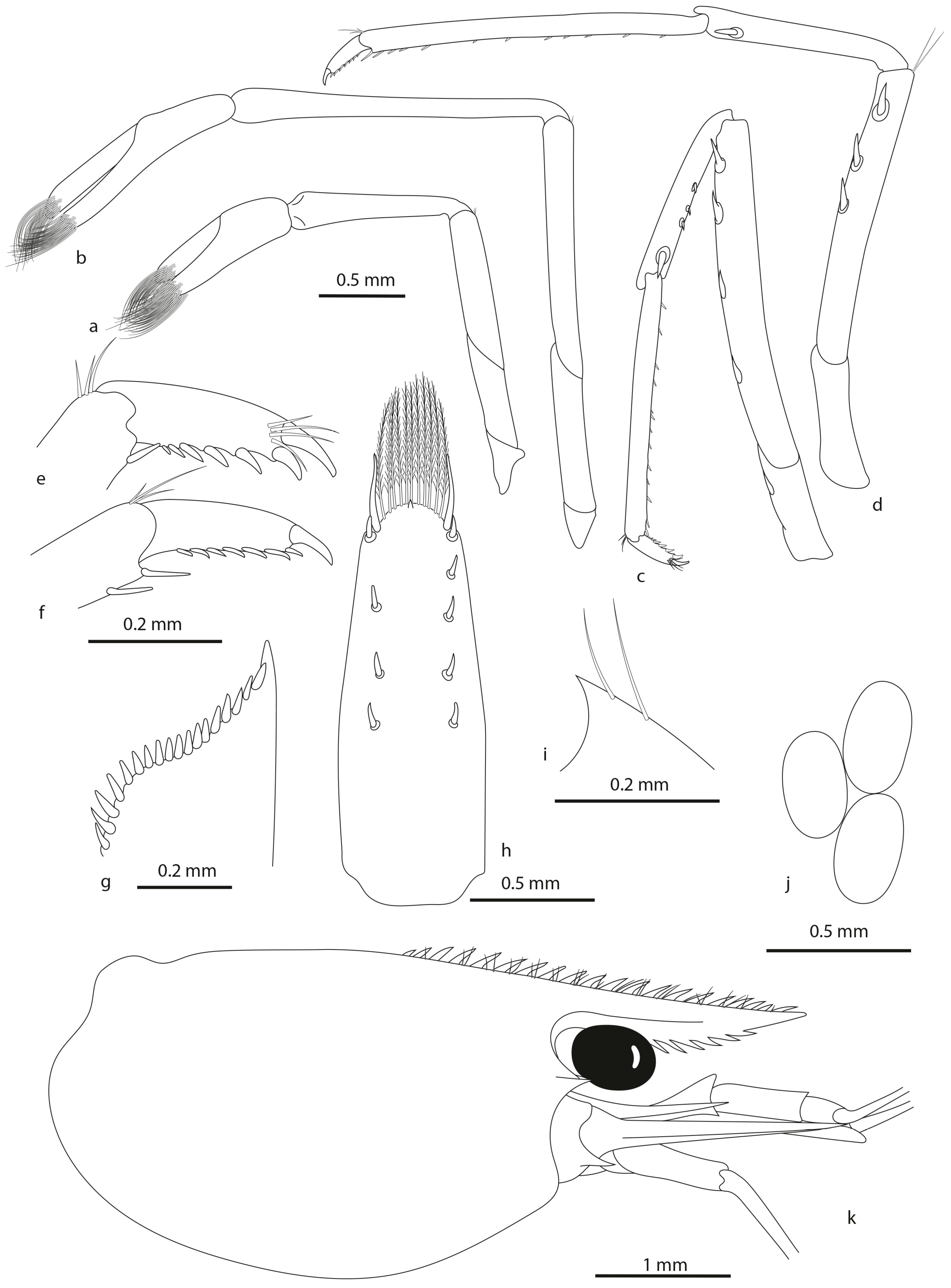 Diversity 16 00200 g008 Diversity 16 00200 g008