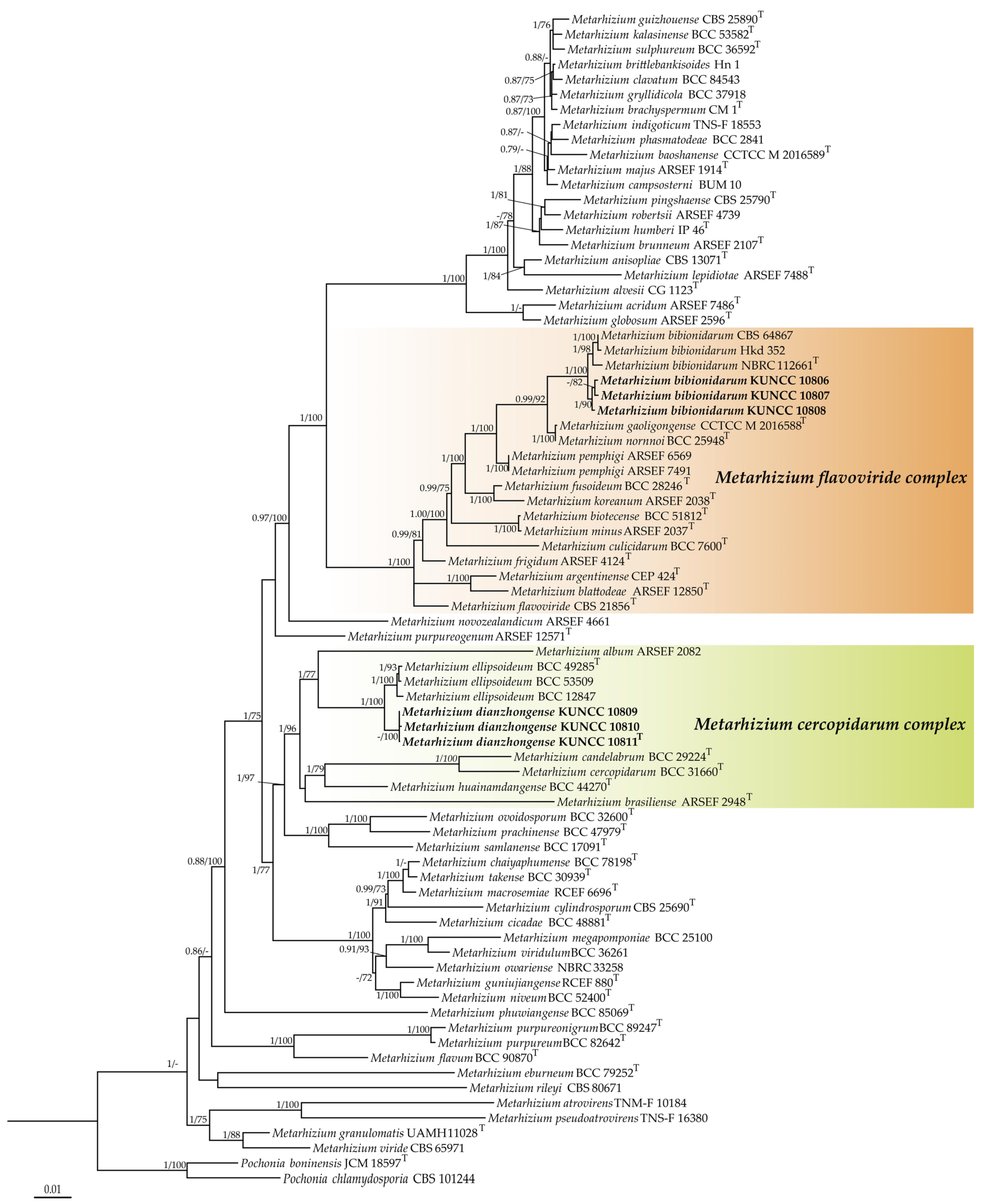 Diversity 16 00201 g001 Diversity 16 00201 g001