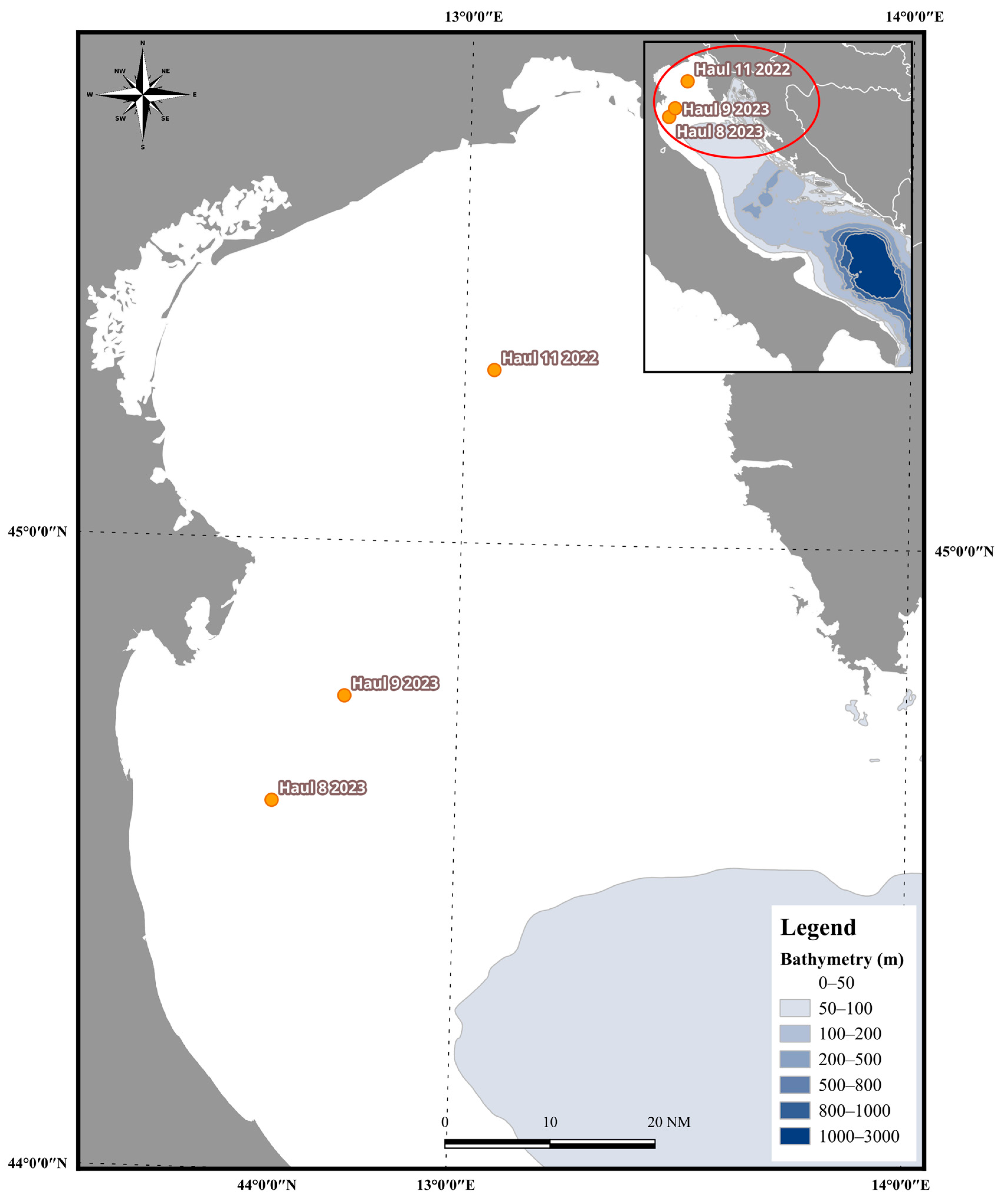 Diversity 16 00202 g001