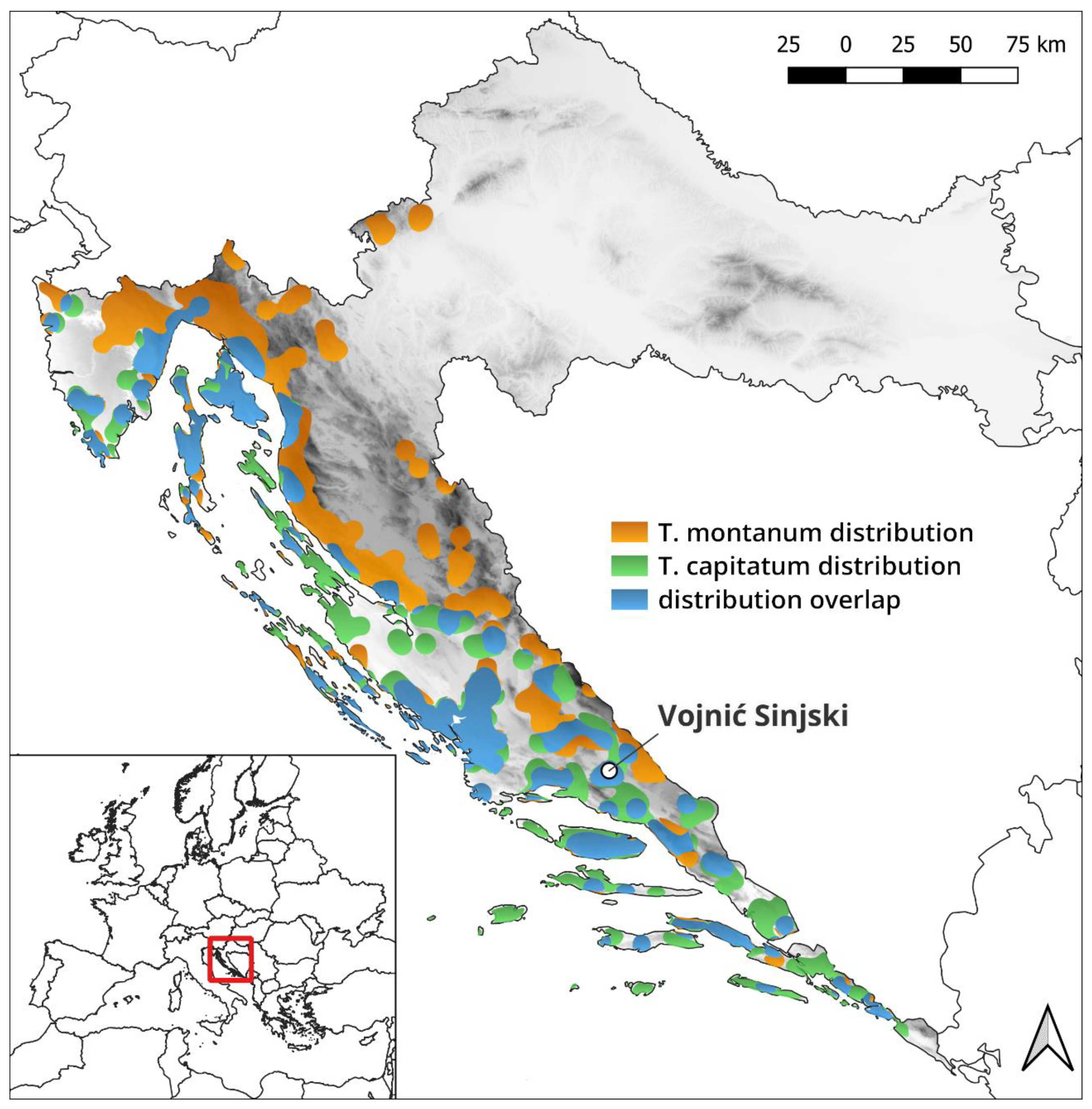 Diversity 16 00206 g001