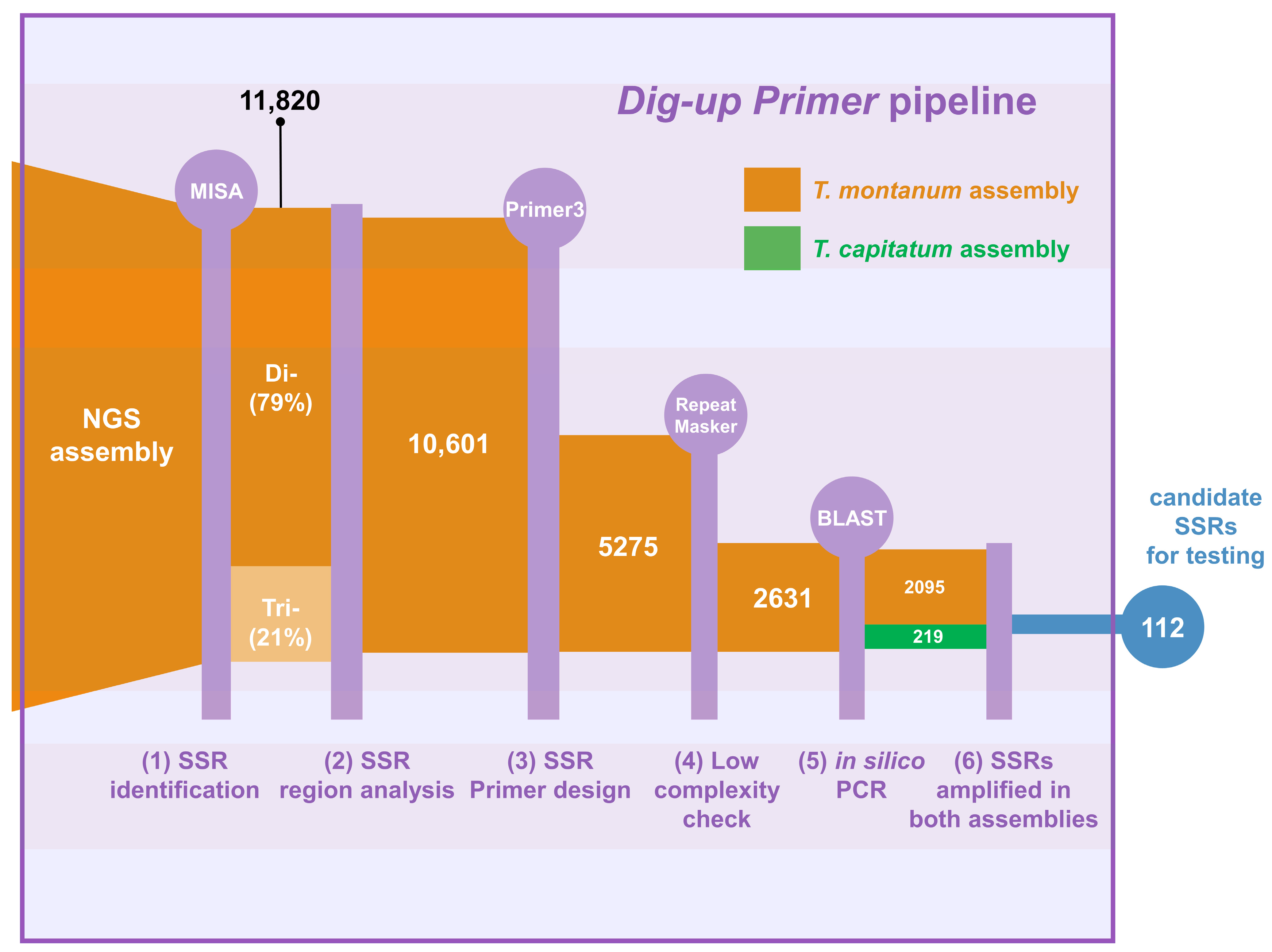 Diversity 16 00206 g002
