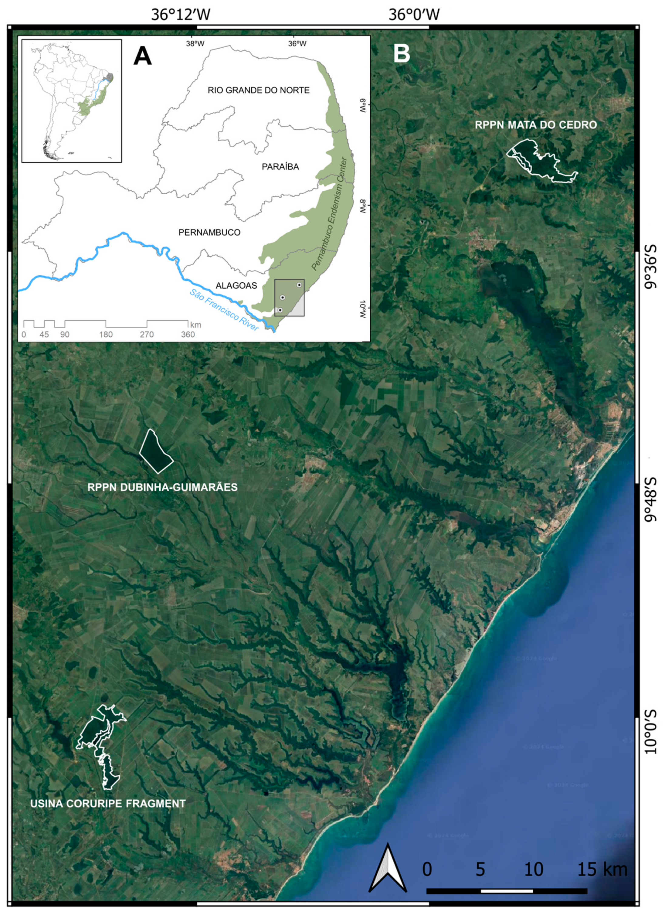 Diversity 16 00207 g001 Diversity 16 00207 g001