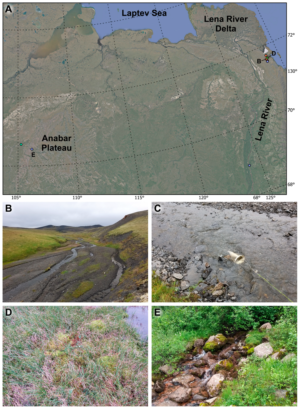 Diversity 16 00208 g001 Diversity 16 00208 g001