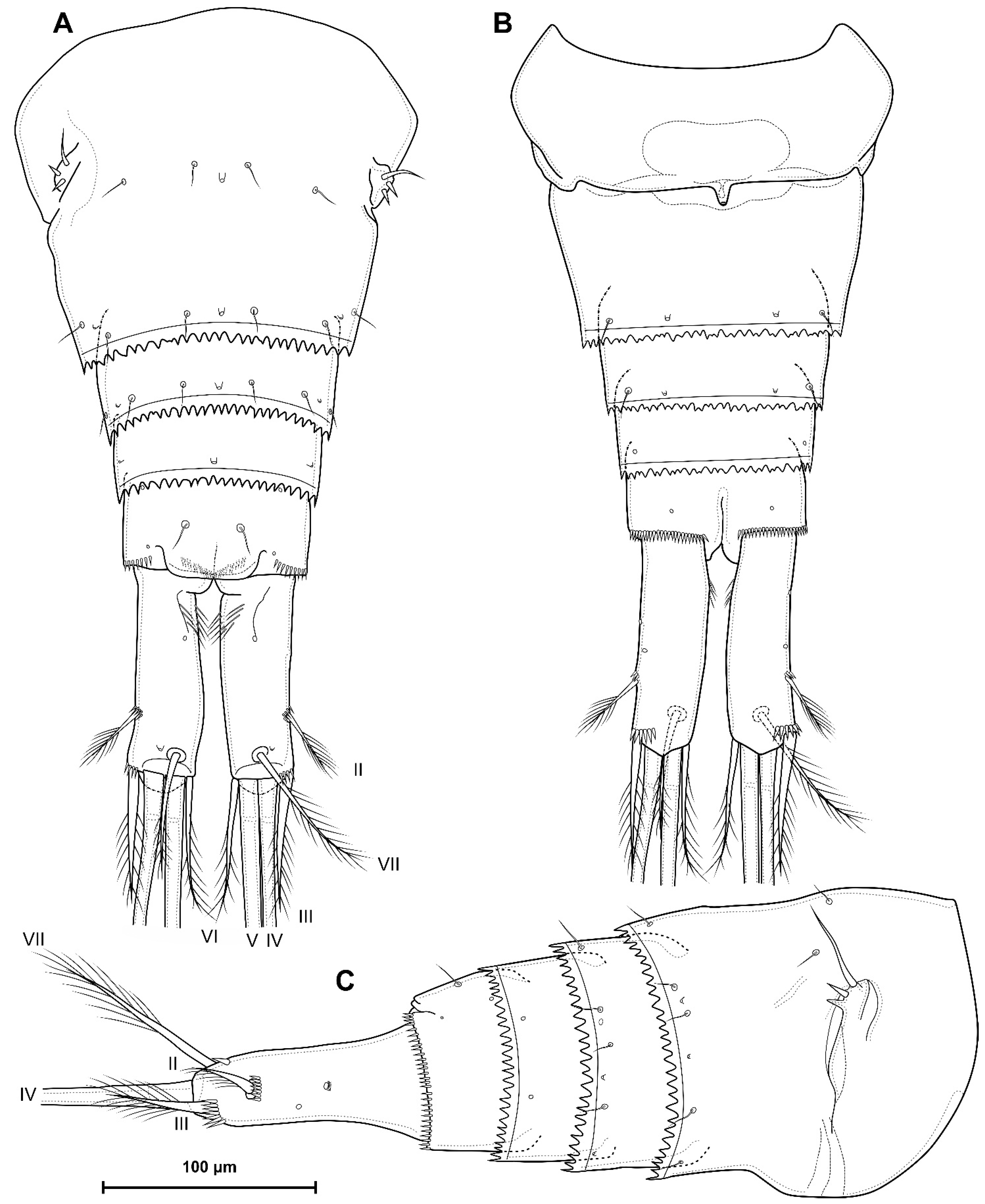 Diversity 16 00208 g003 Diversity 16 00208 g003