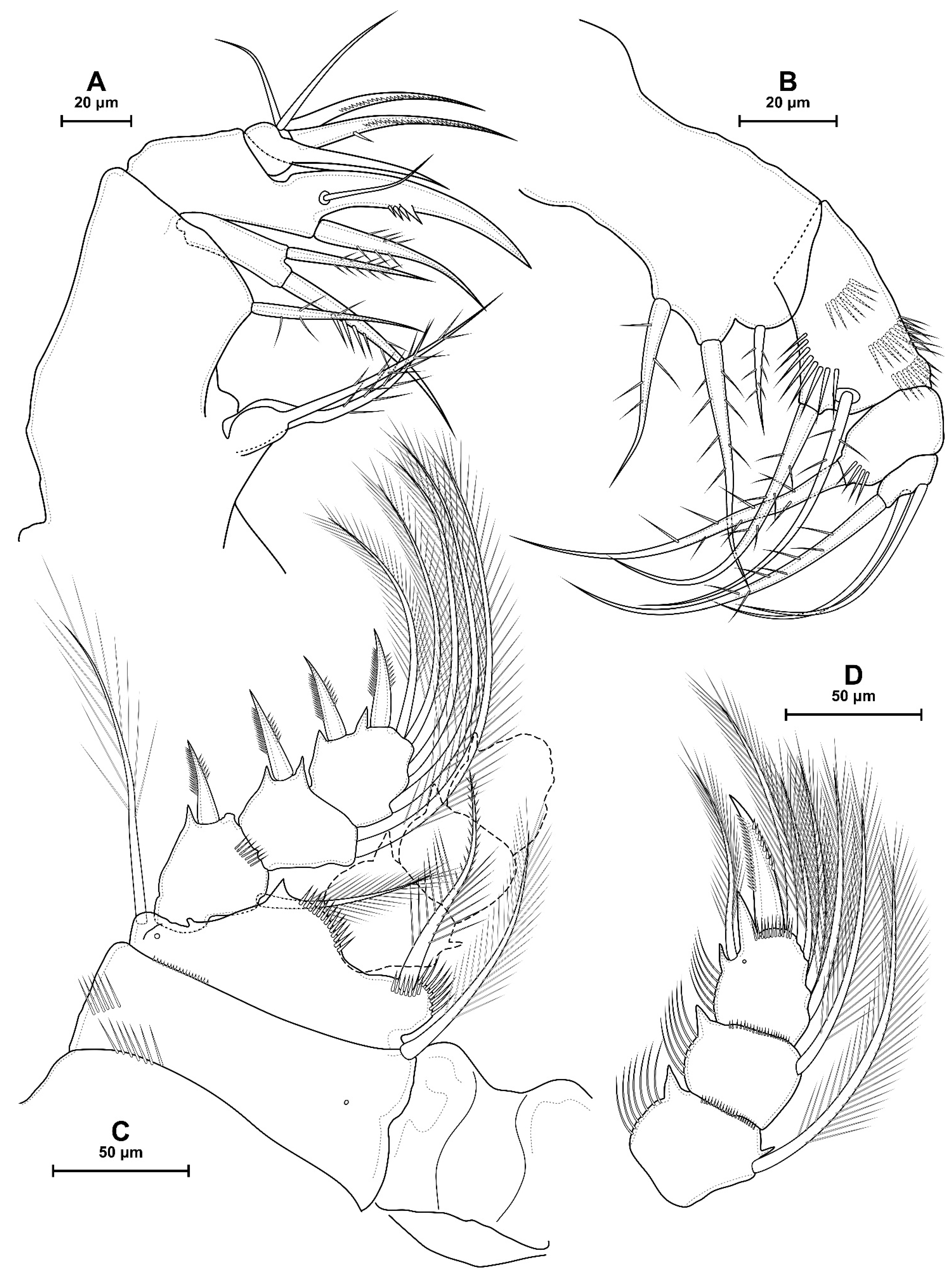 Diversity 16 00208 g005 Diversity 16 00208 g005