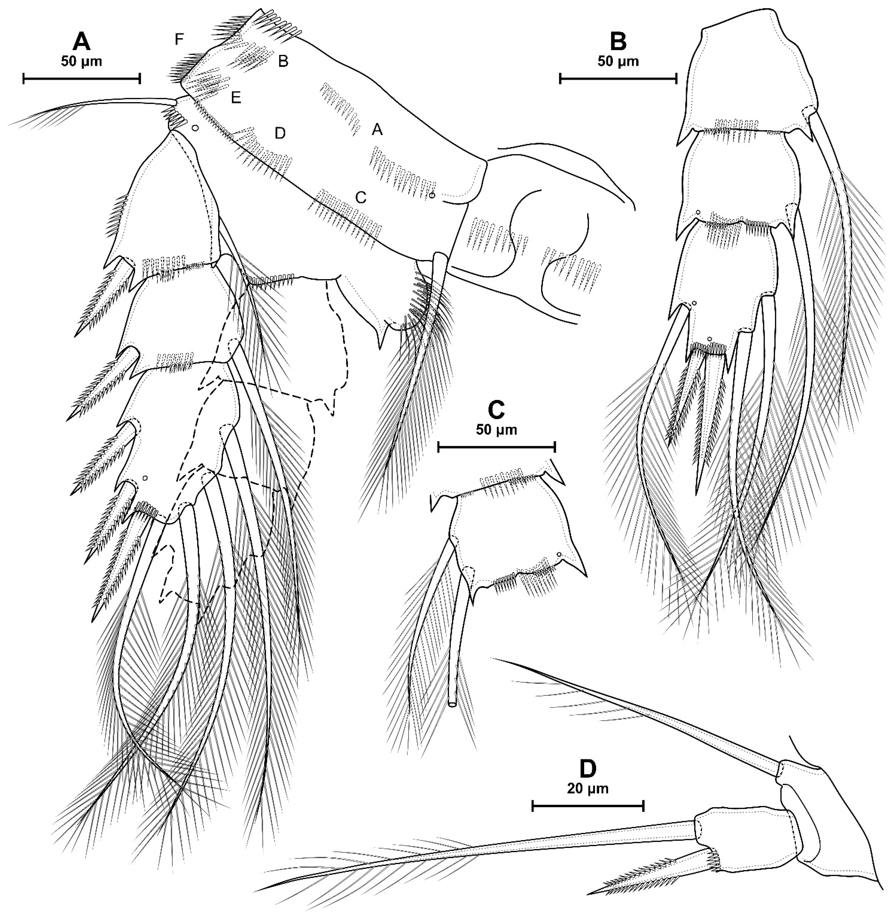 Diversity 16 00208 g007 Diversity 16 00208 g007