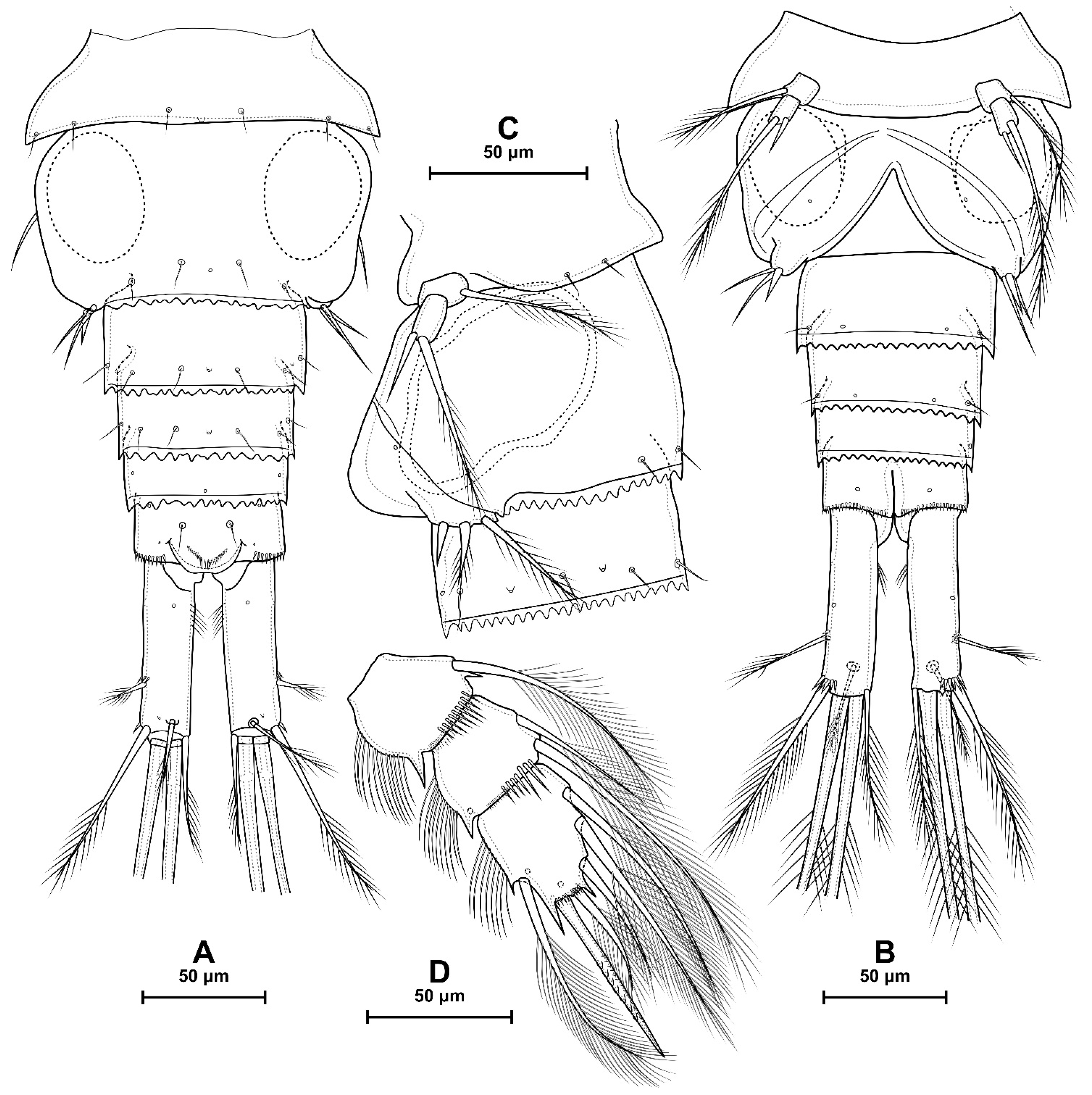 Diversity 16 00208 g008 Diversity 16 00208 g008