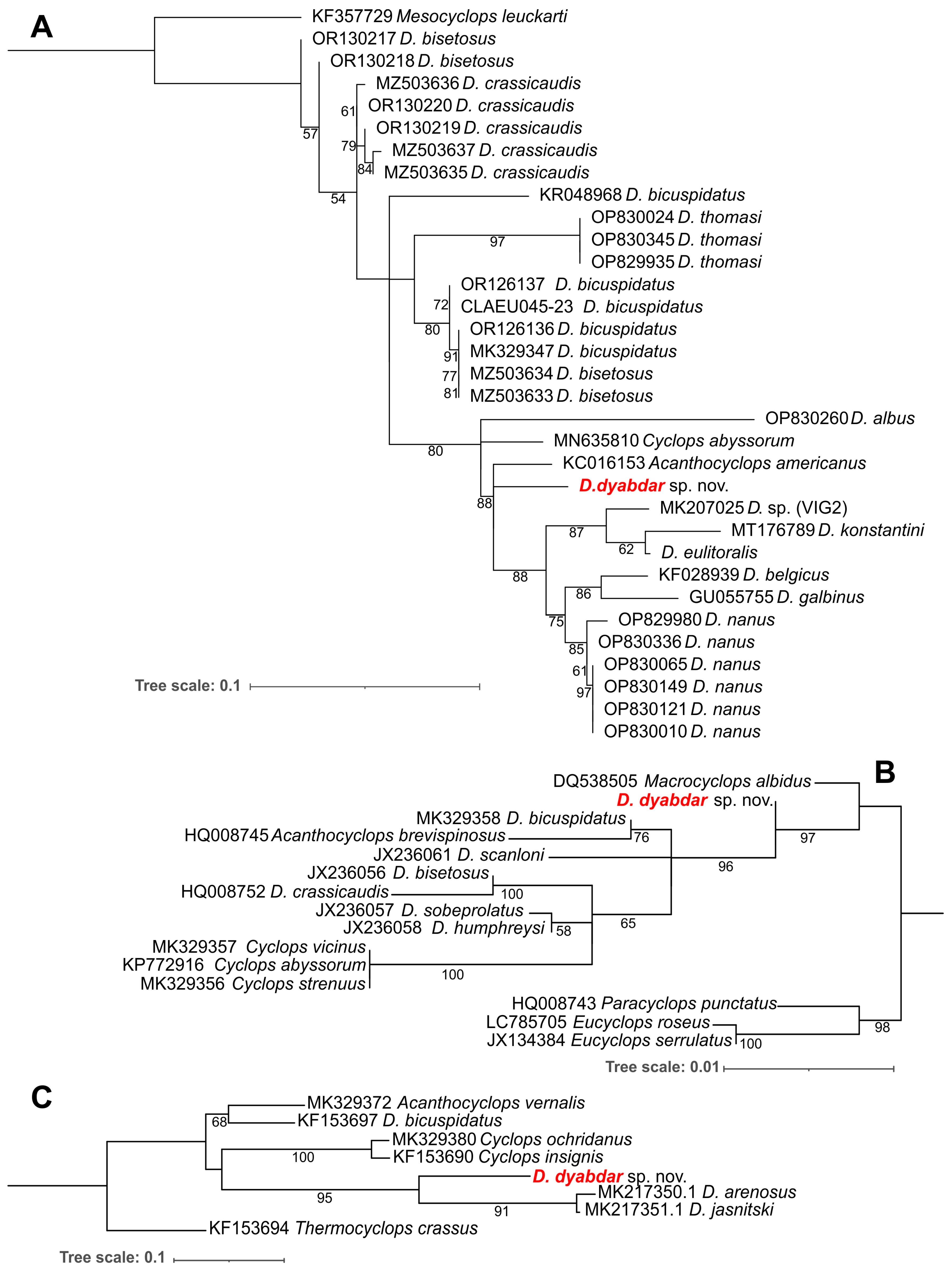 Diversity 16 00208 g011 Diversity 16 00208 g011