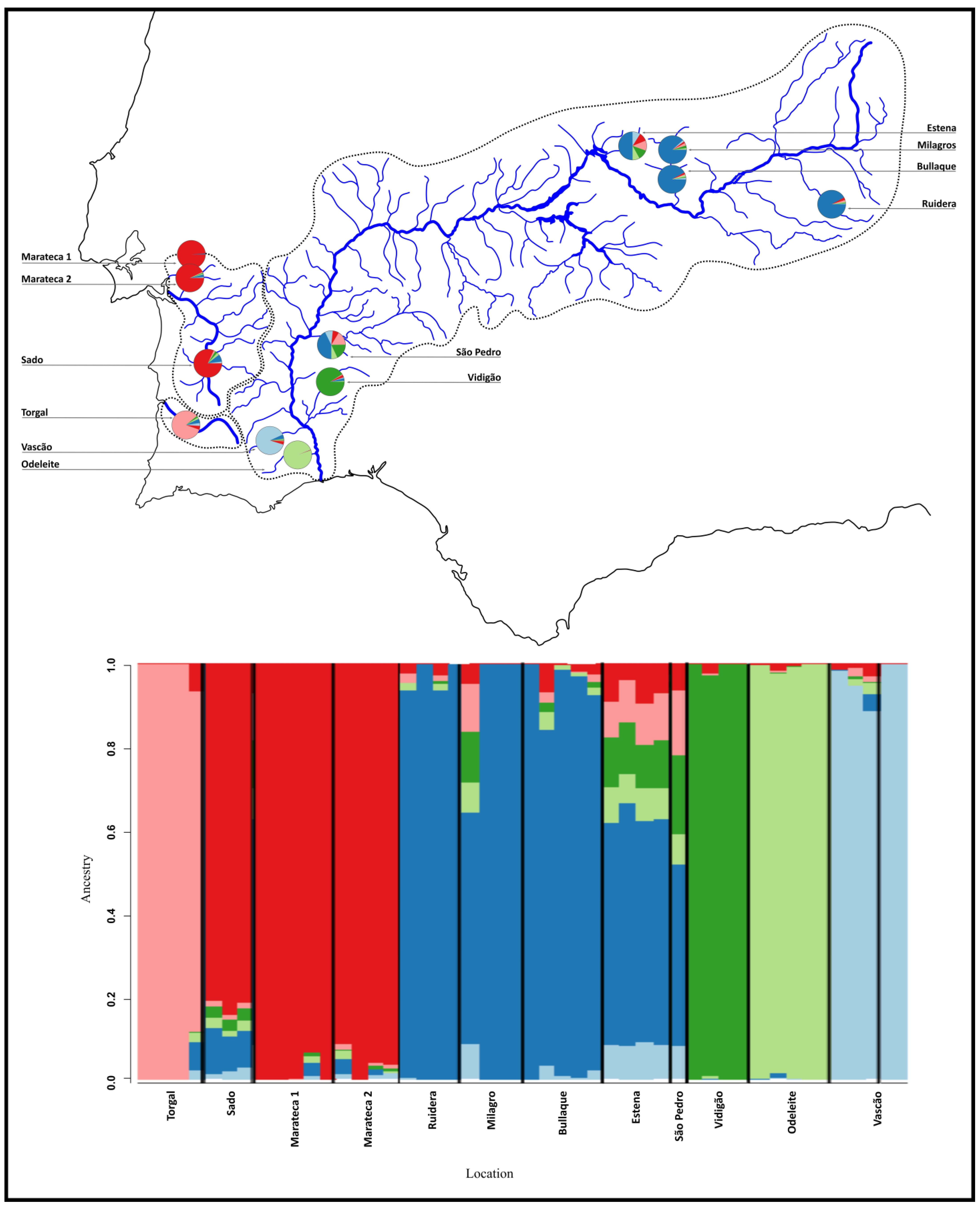 Diversity 16 00209 g002