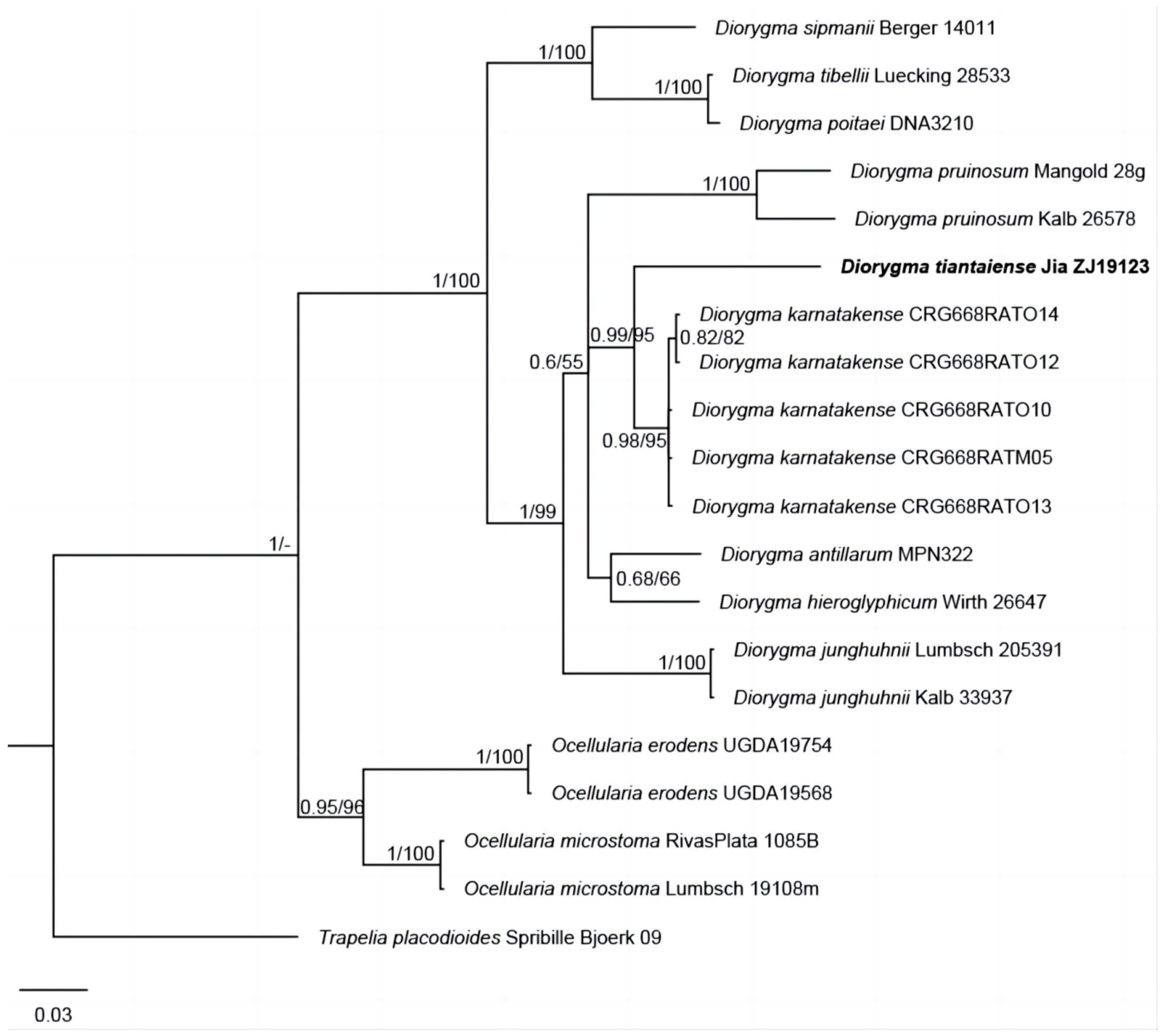 Diversity 16 00213 g001 Diversity 16 00213 g001