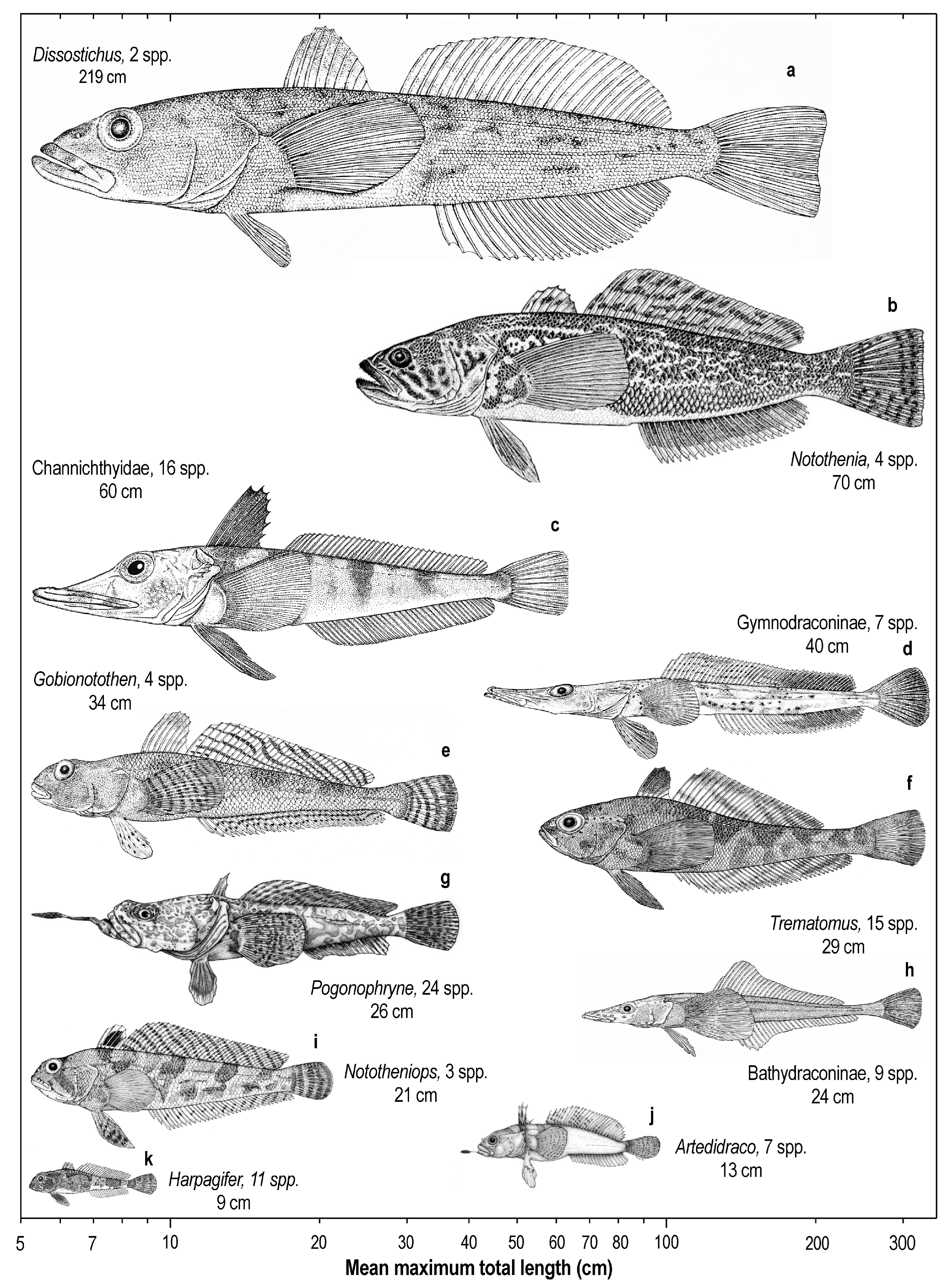 Diversity 16 00214 g009 Diversity 16 00214 g009