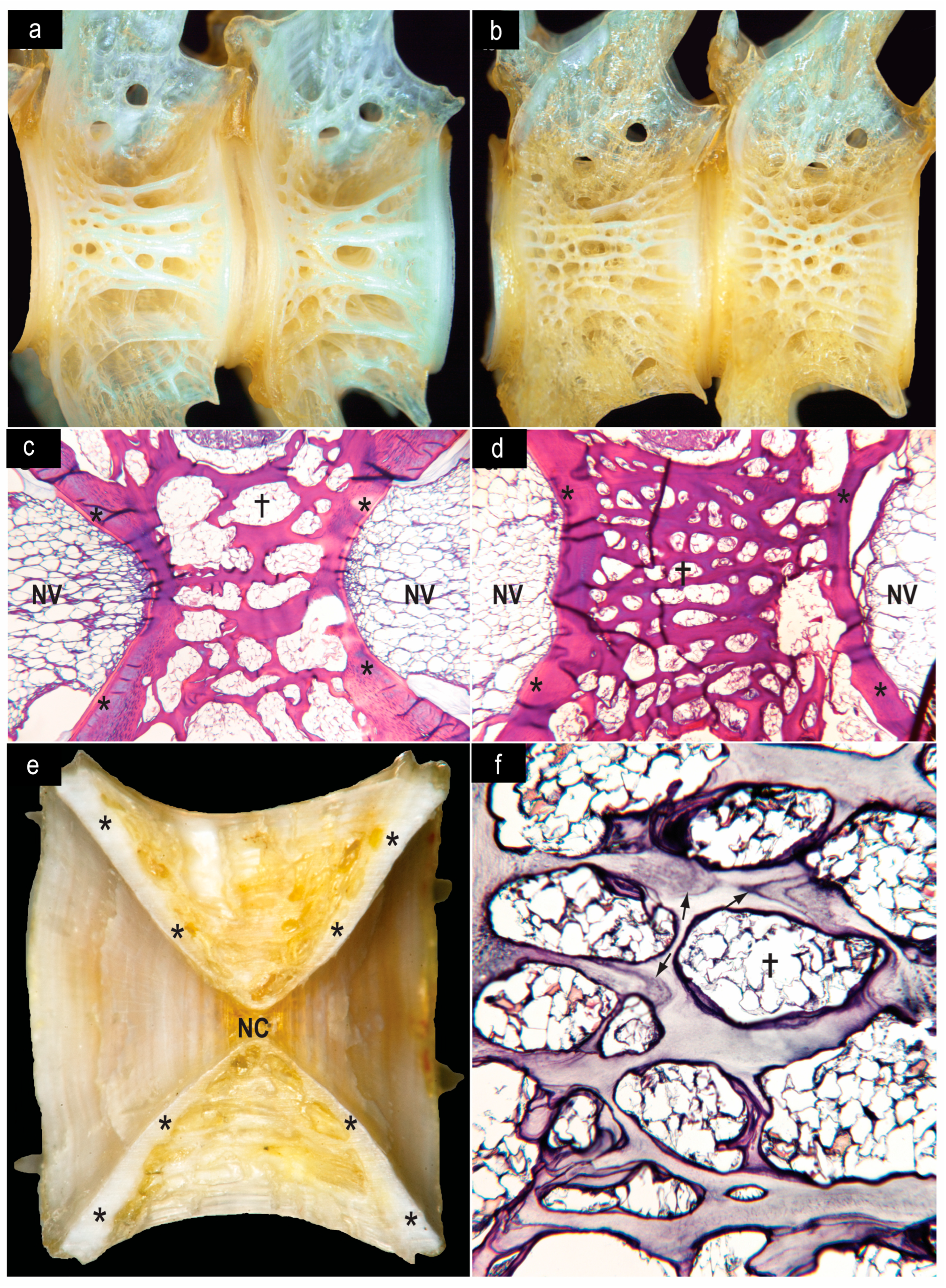 Diversity 16 00214 g012