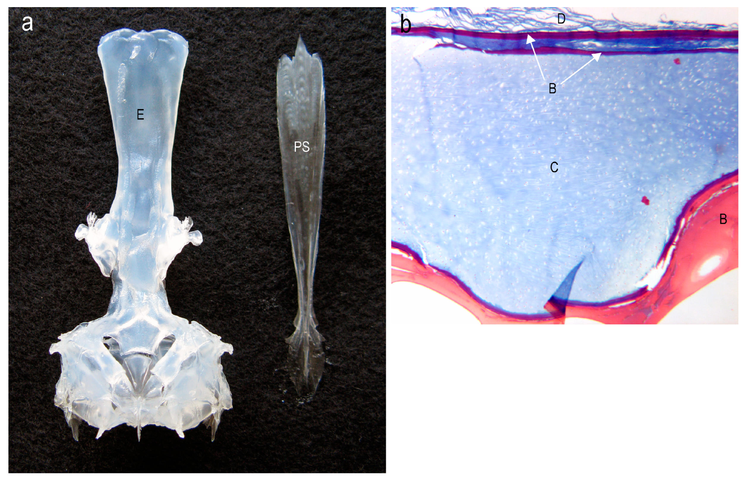 Diversity 16 00214 g014