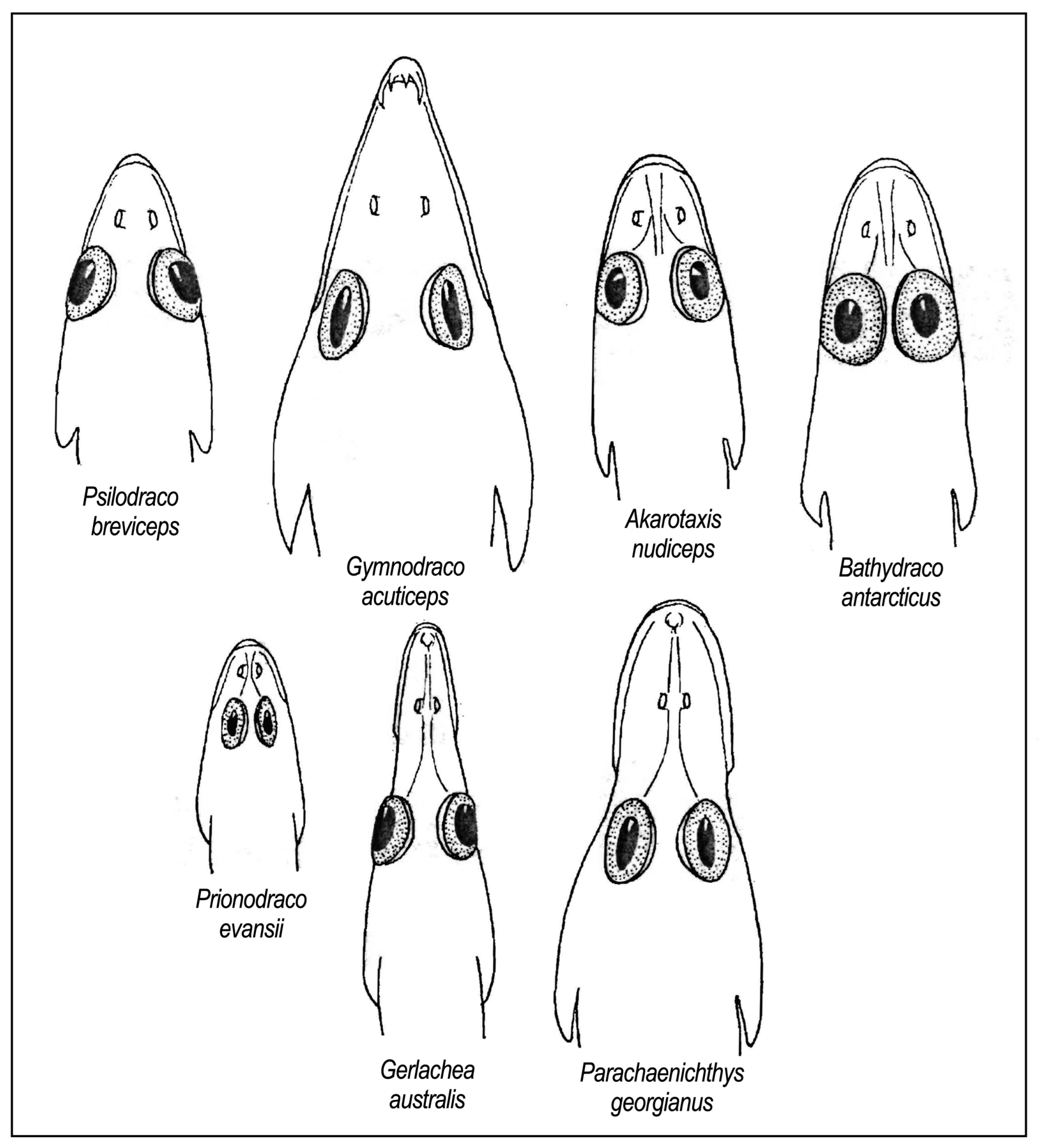 Diversity 16 00214 g024