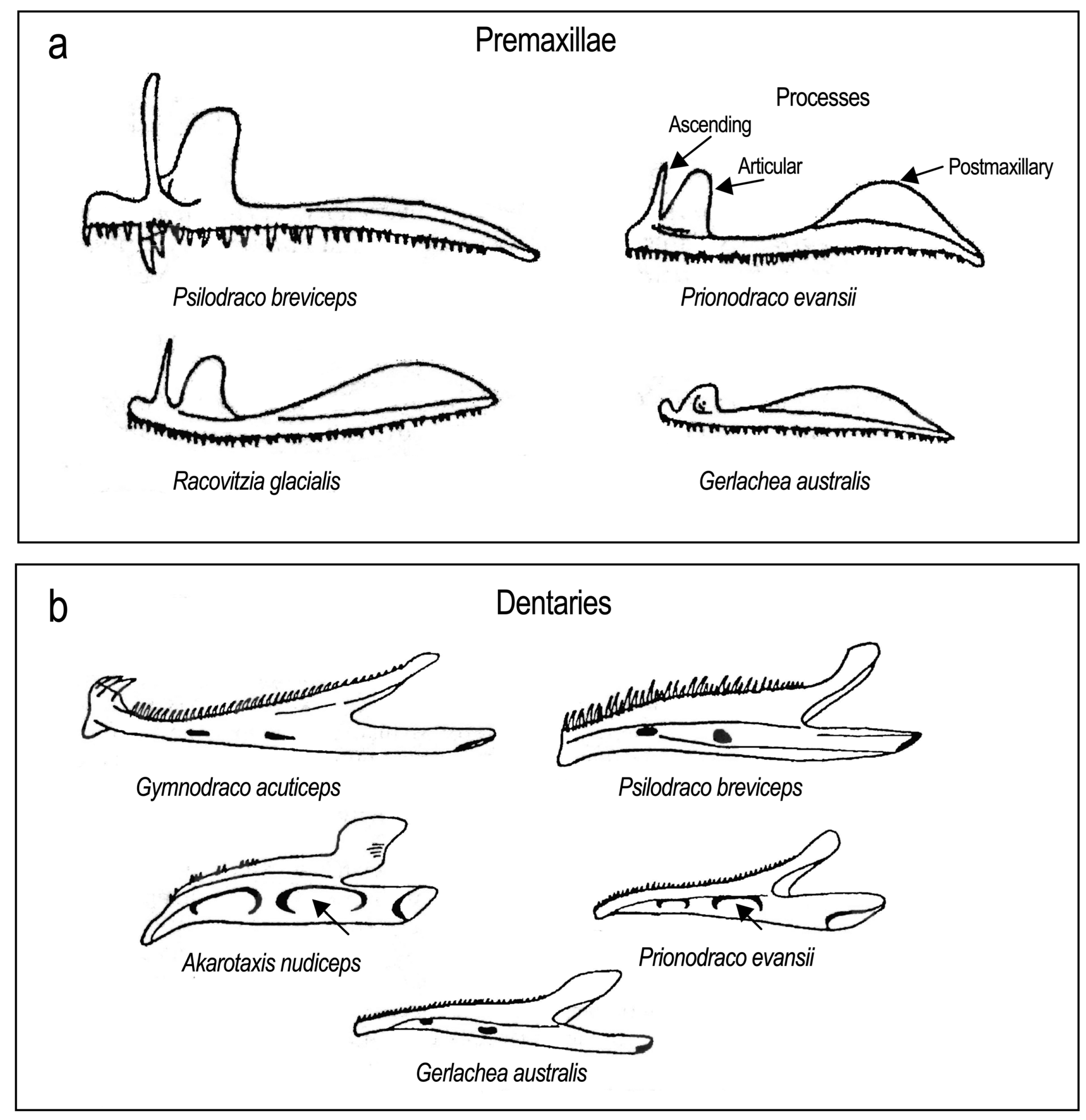 Diversity 16 00214 g025