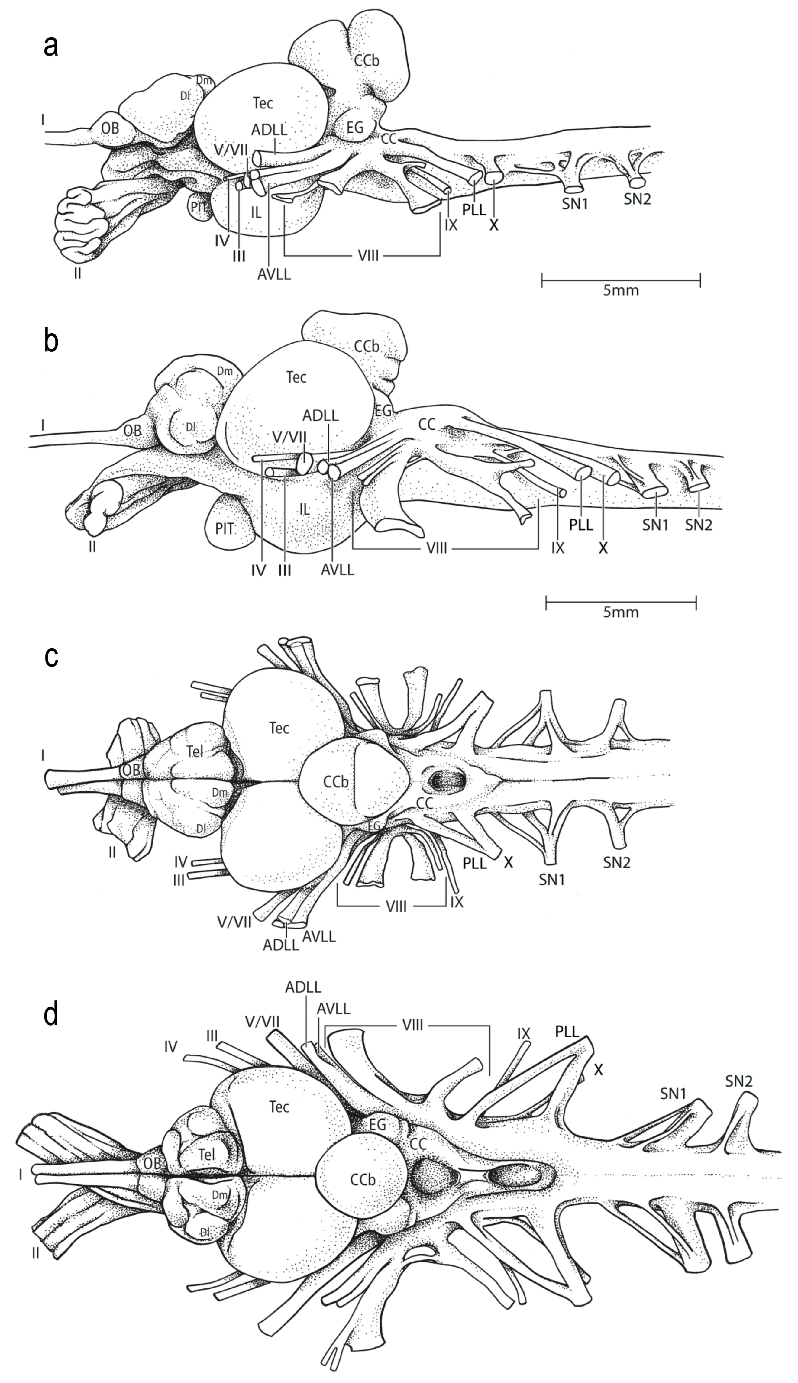 Diversity 16 00214 g027